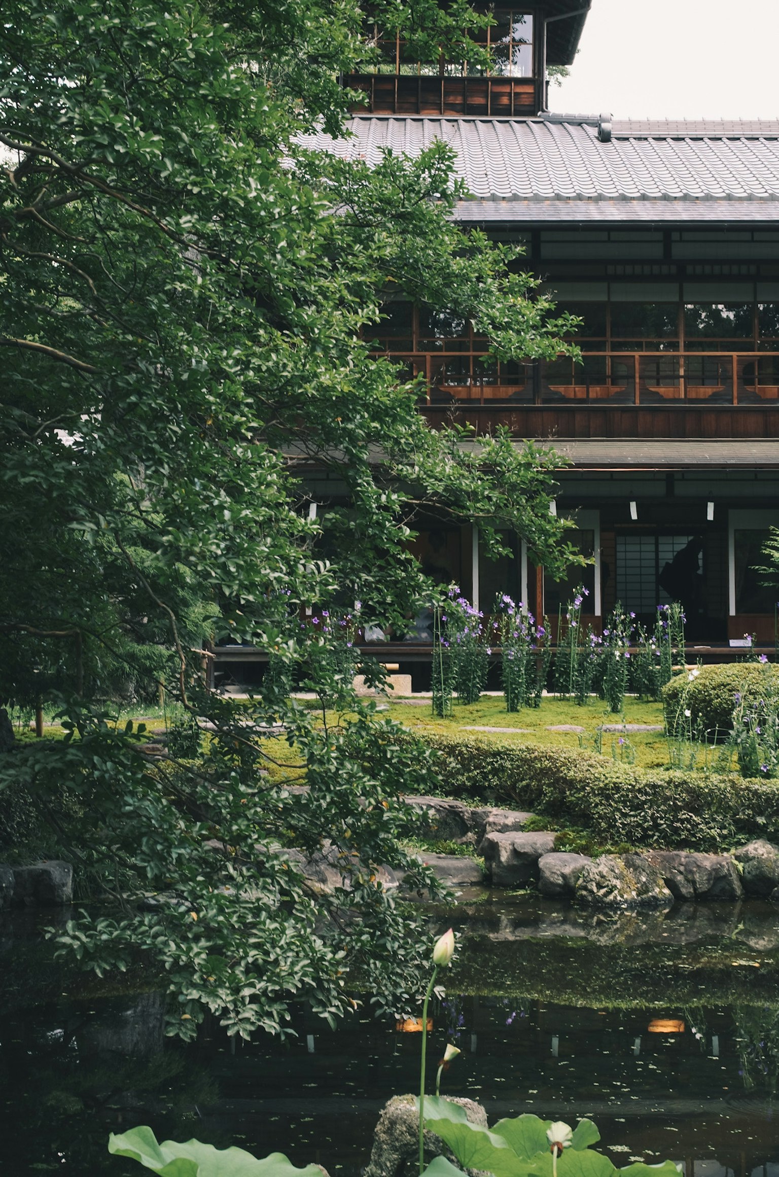 Traditional building surrounded by a serene garden pond and lush greenery