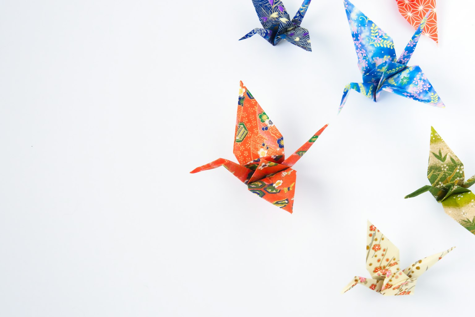 Cranes origami đầy màu sắc được sắp xếp trên nền trắng