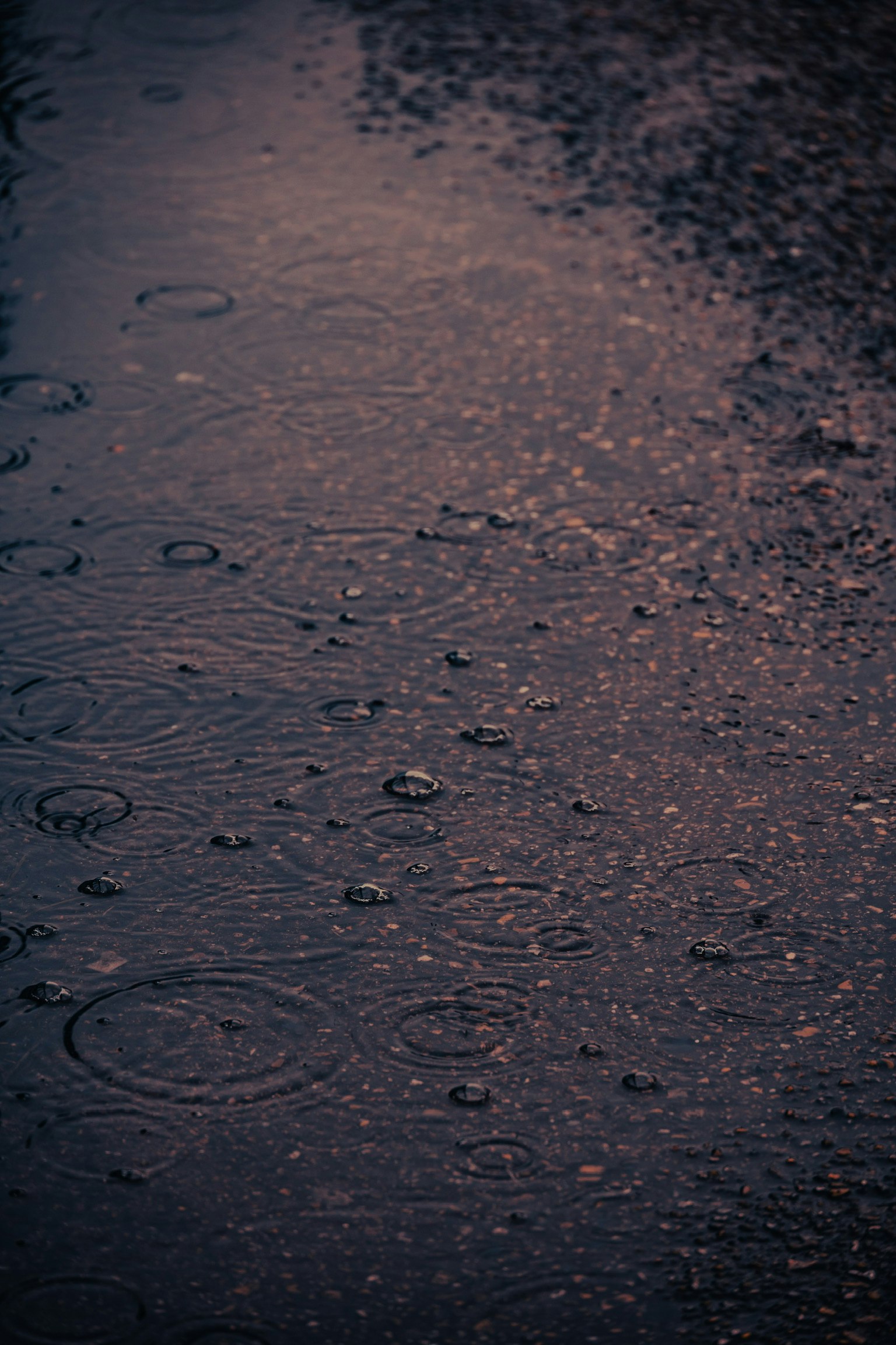 Dark road with rain droplets creating ripples in puddles