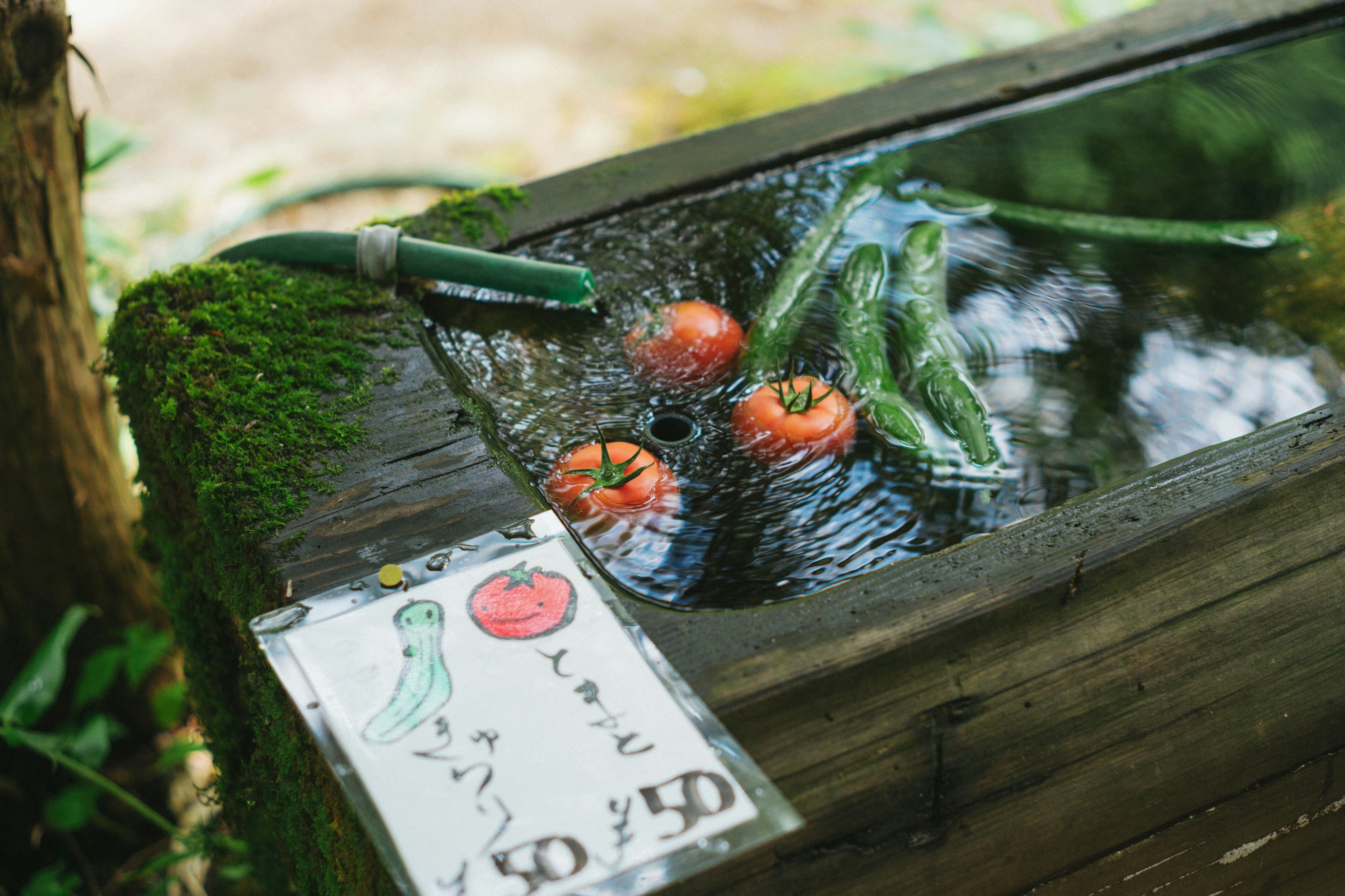 木製の箱に入った水槽と野菜の飾り、手描きのメモ