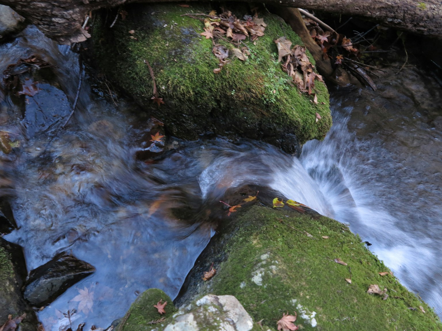 Felsen mit grünem Moos und fließendem Bach