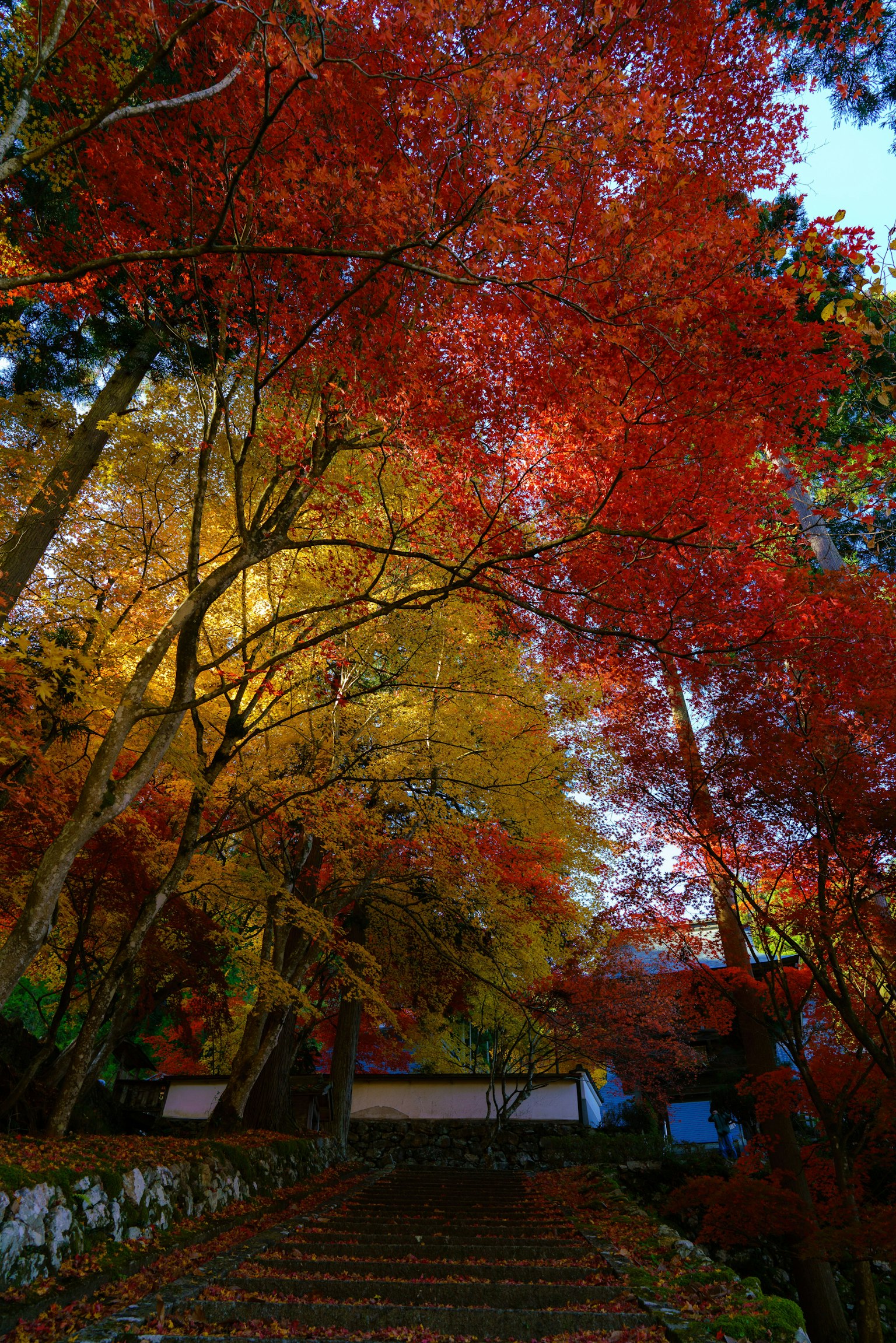 photo-d8NHdmgUGeN1B5ircmI7-image