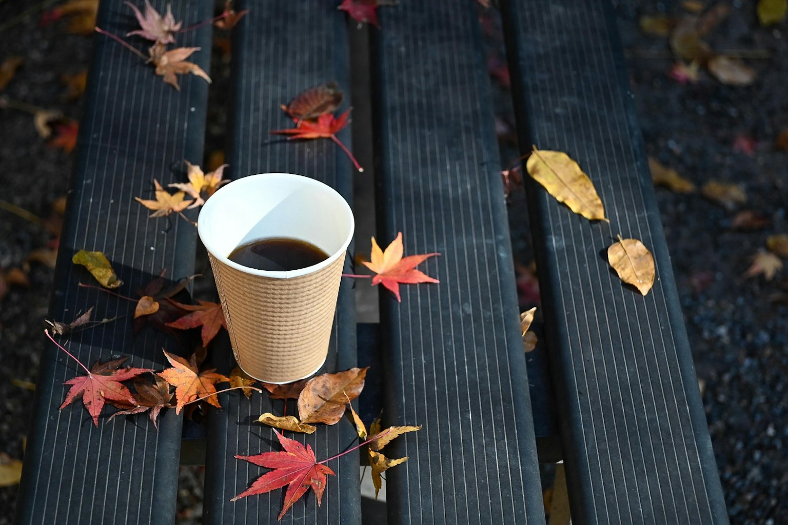 Tasse de café entourée de feuilles d'automne sur un banc en bois