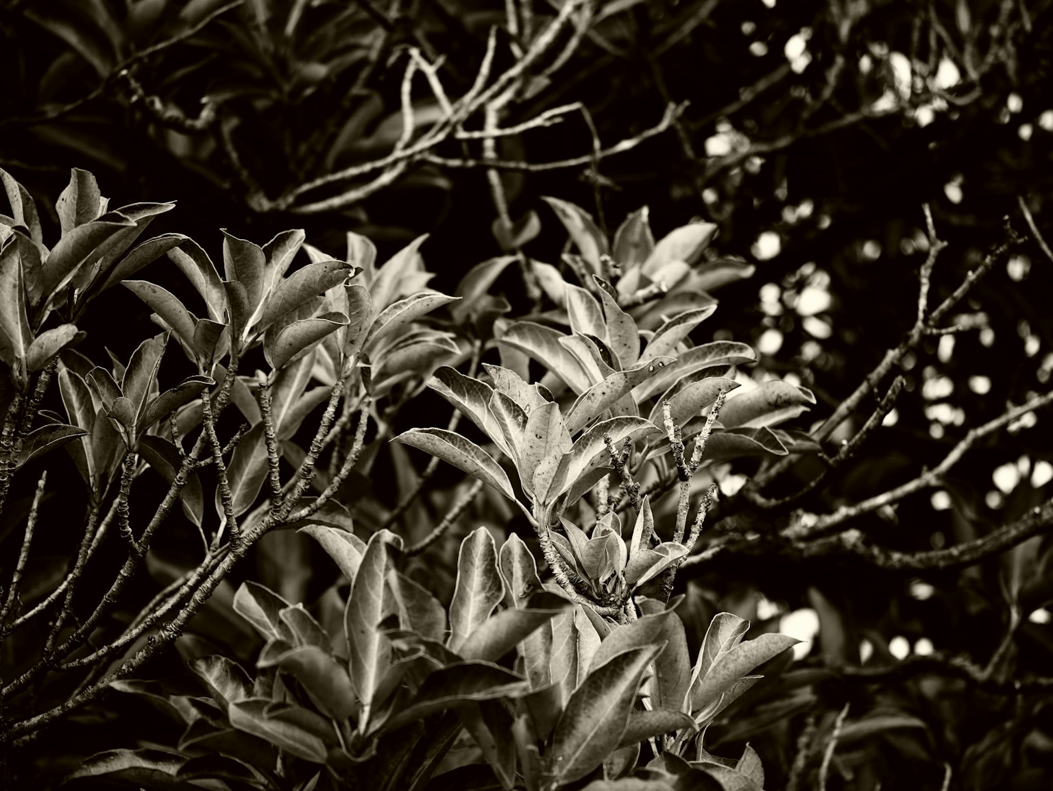 photo-d9M9KZkSImMoR9zliTei-image