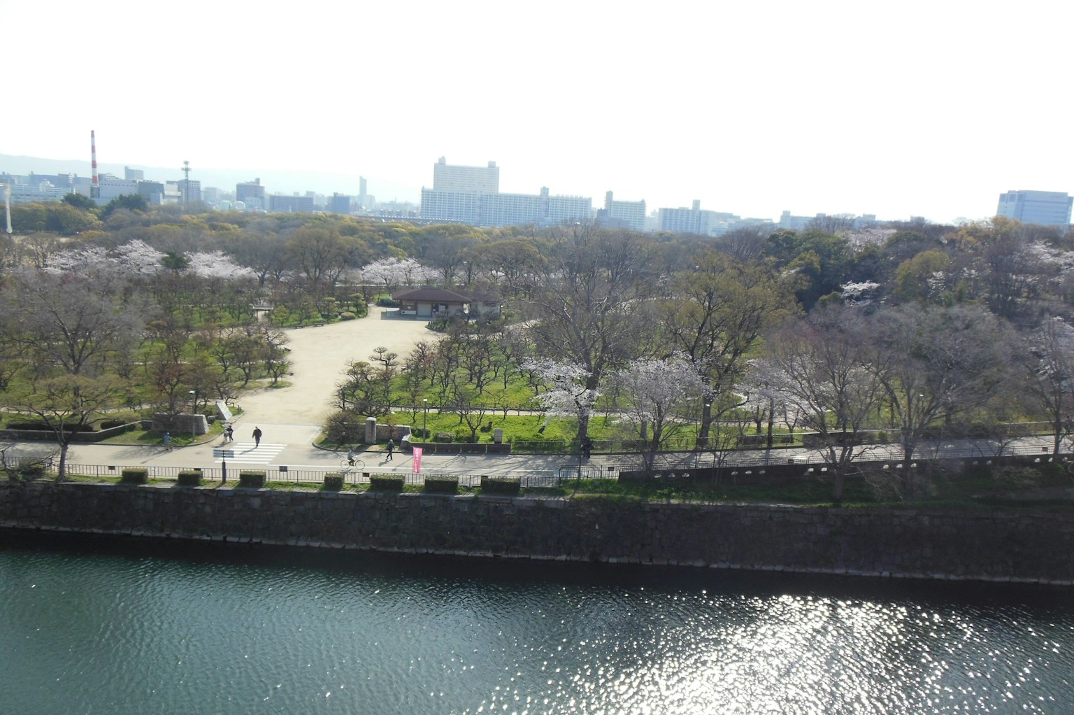 Scenic view of a park with cherry blossom trees and green lawns Reflective water surface