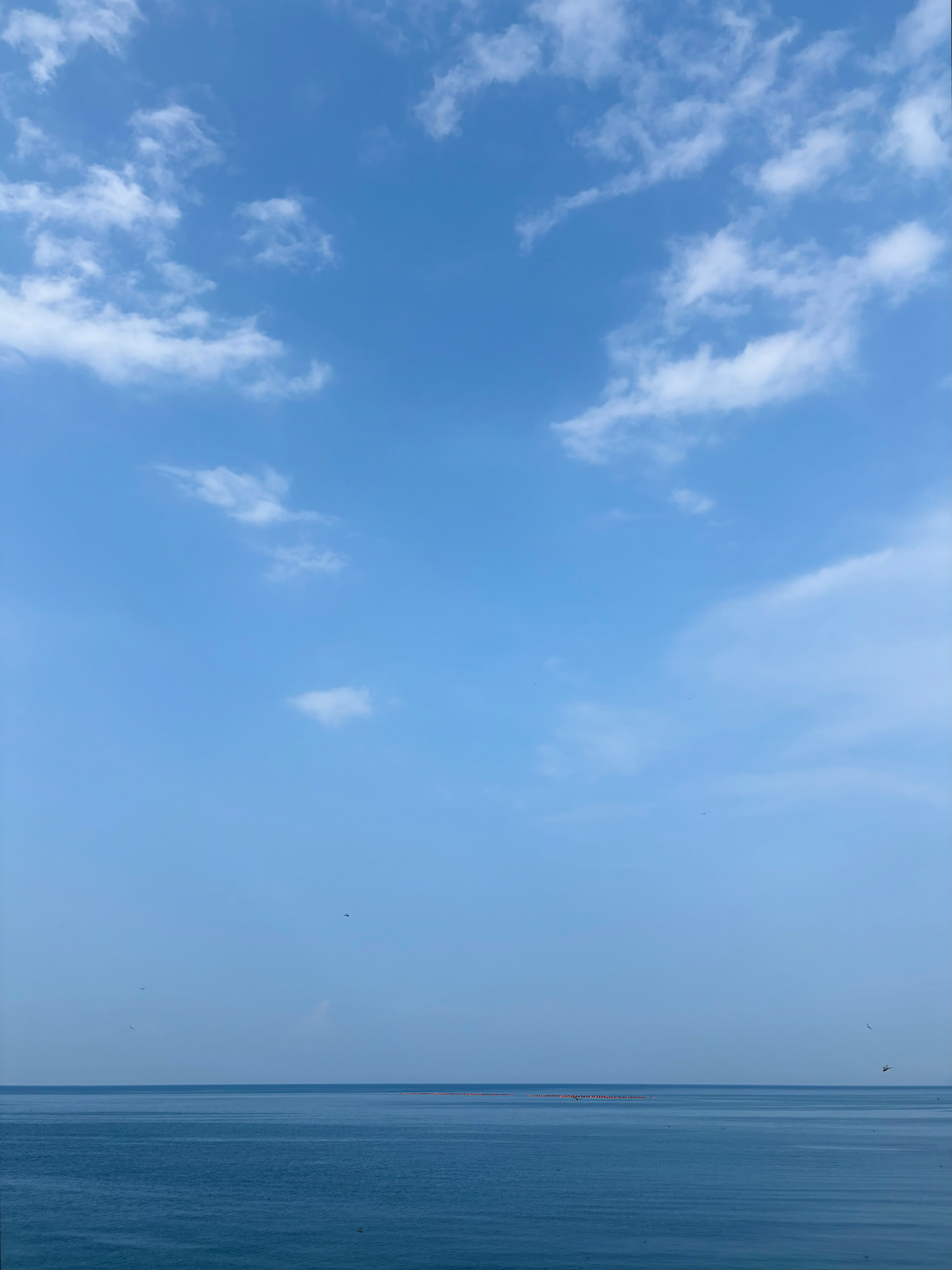 青い空と海、水平線の雲