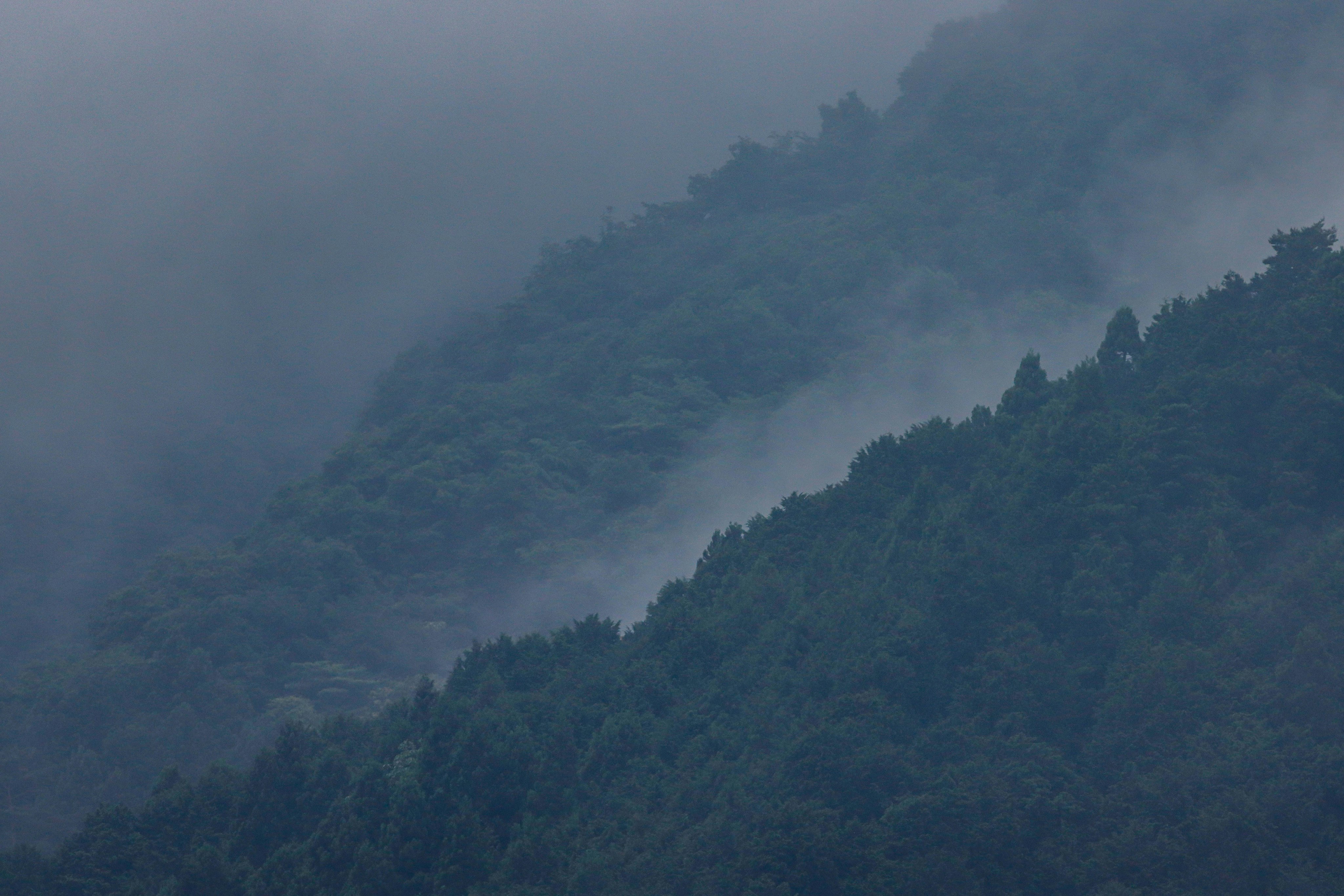 雾中的山坡与林木山脊
