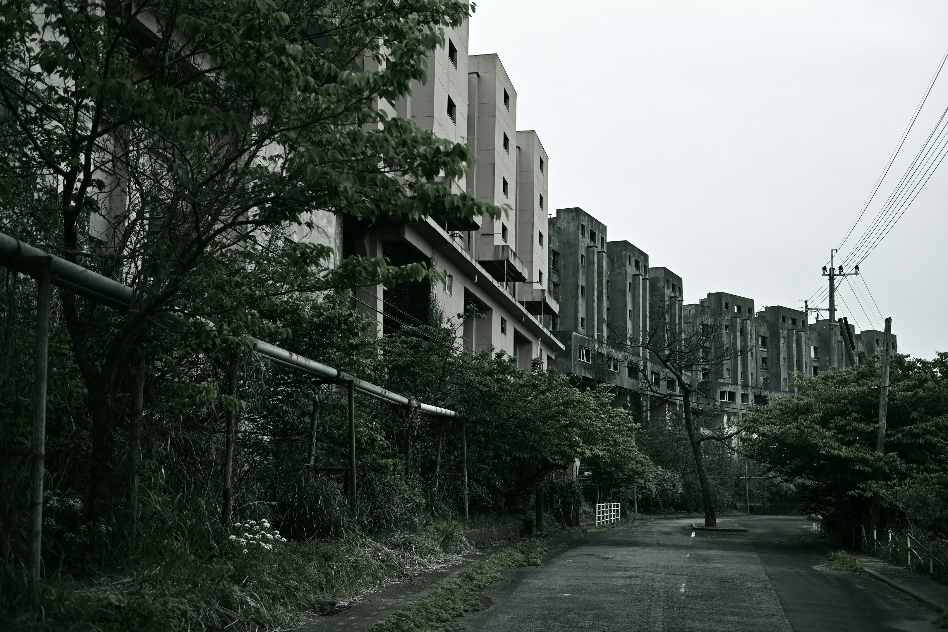 並木と集合住宅が続く静かな通り