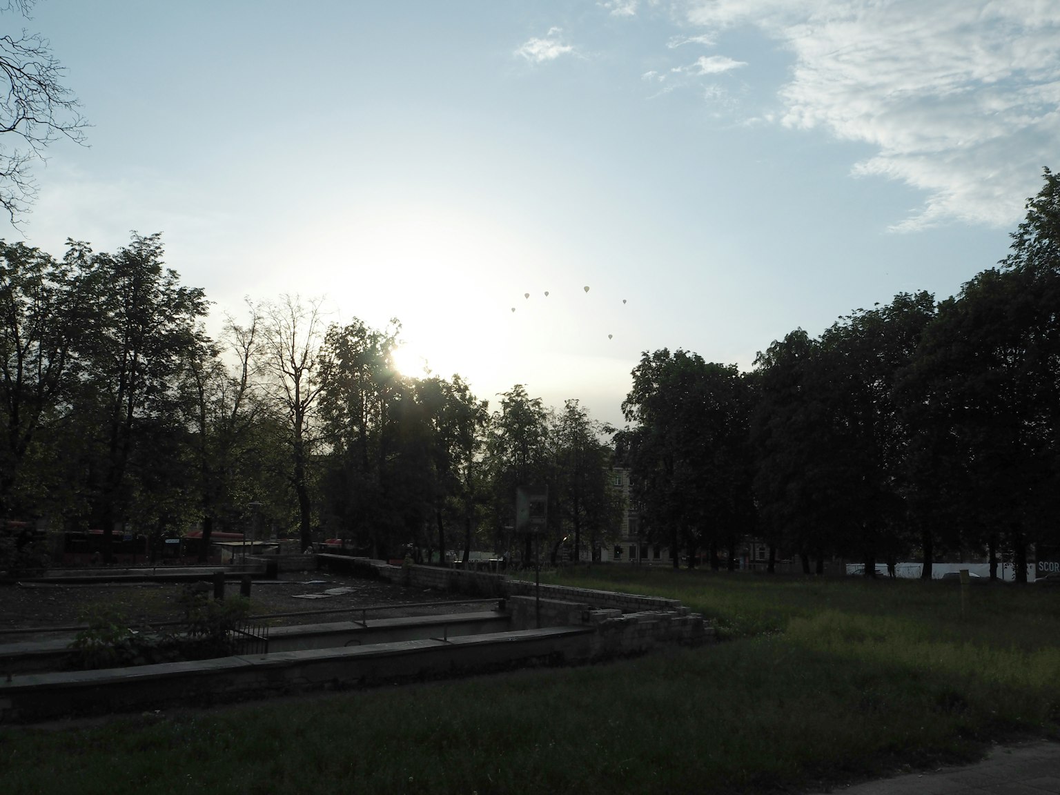 Paisaje sereno del parque con amanecer, árboles y área de césped