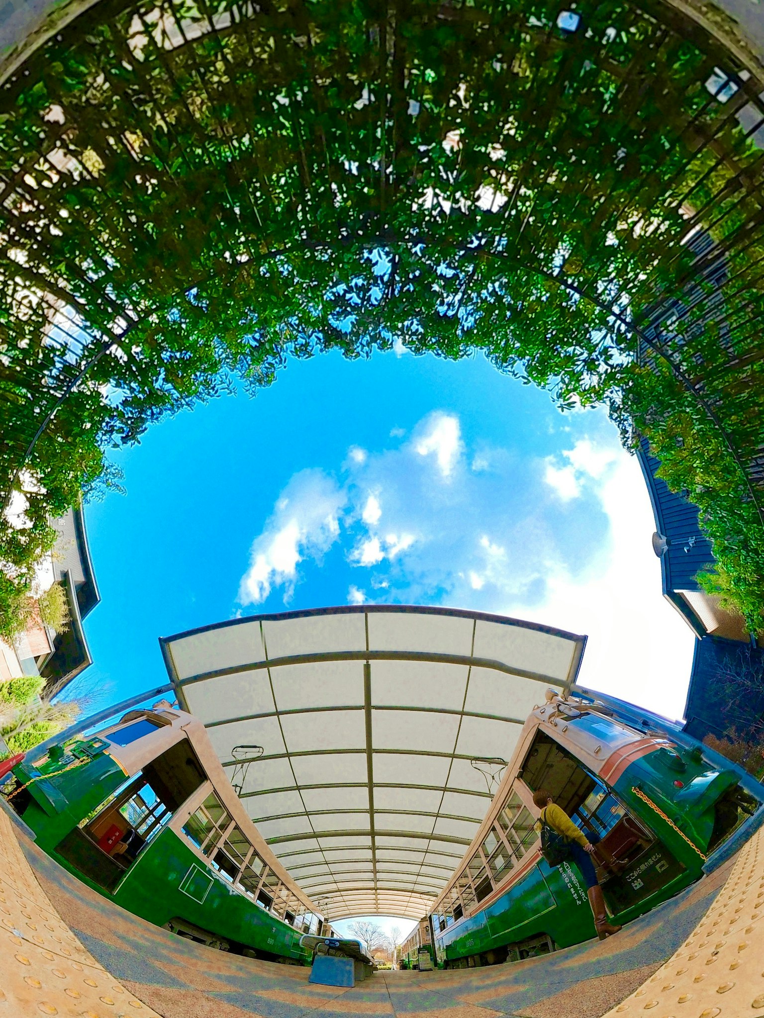 Panoramablick auf ein Gebäude unter grünen Blättern und blauem Himmel