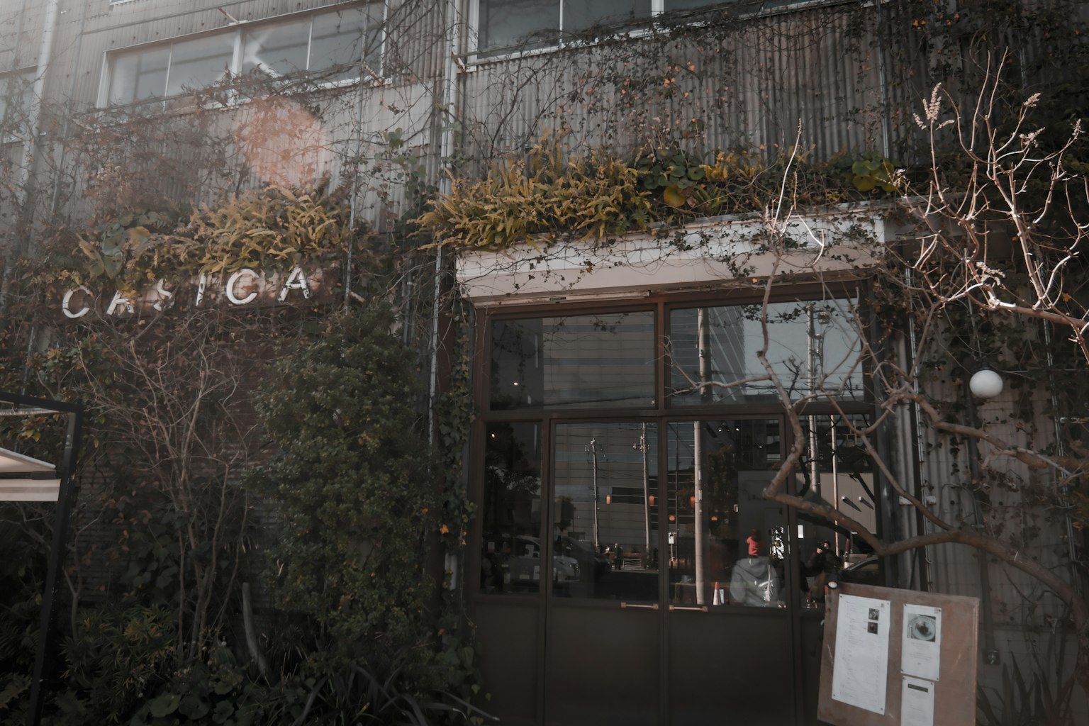 老建筑外观，植物缠绕，咖啡馆招牌可见