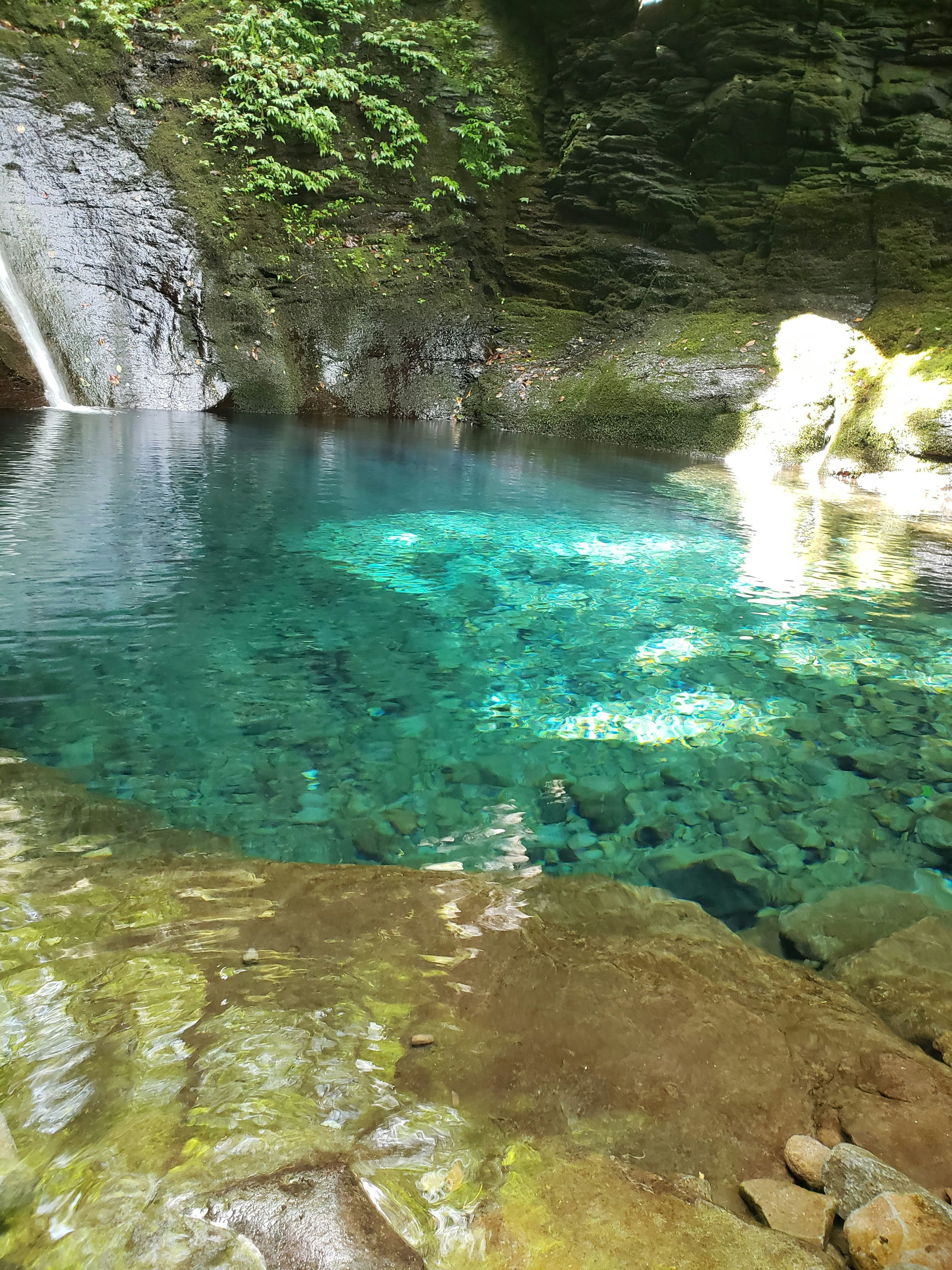 滝壺のある澄んだ水辺の渓流の景色