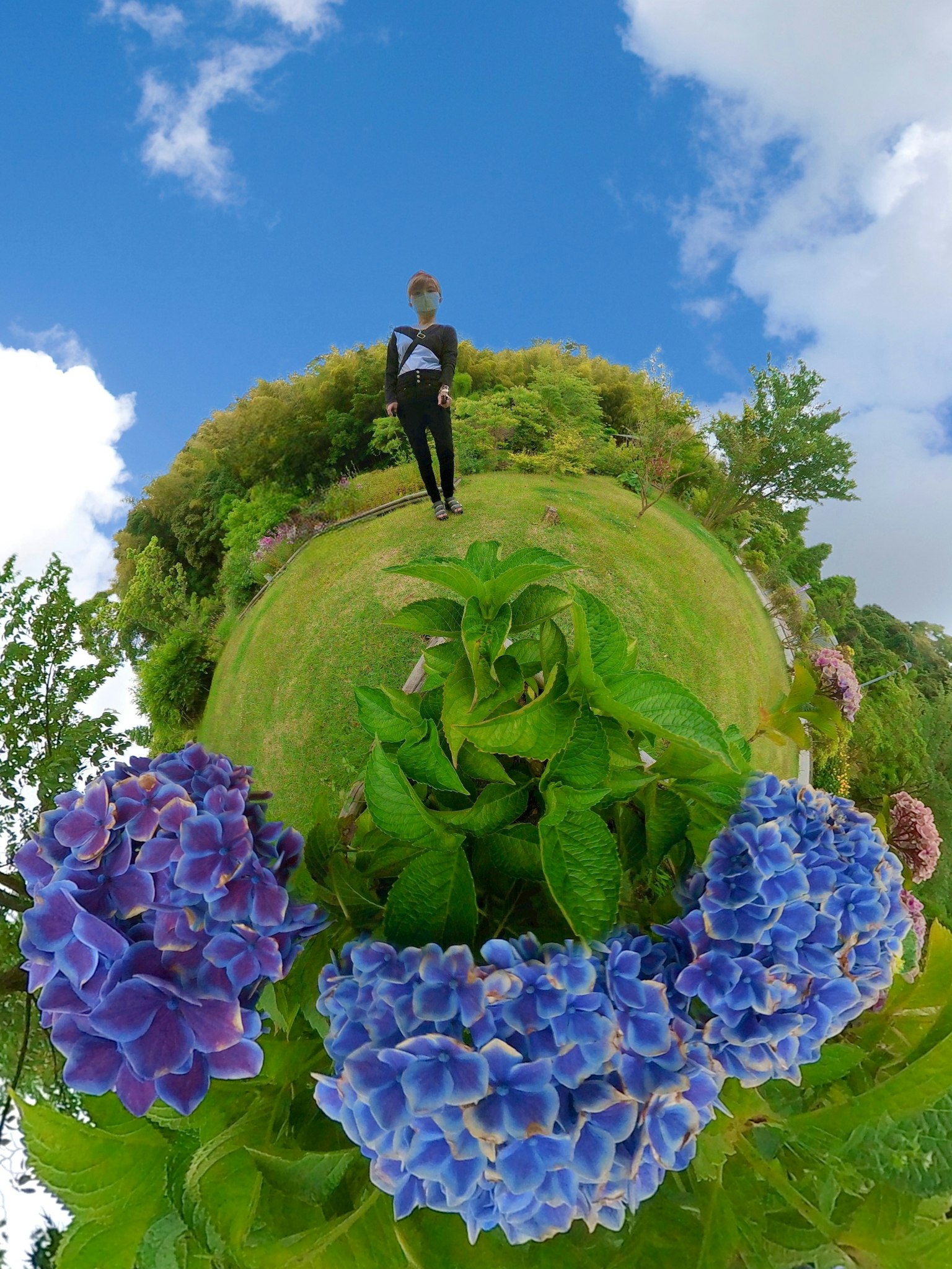 Seseorang berdiri di rumput hijau dikelilingi bunga biru dan tanaman hijau