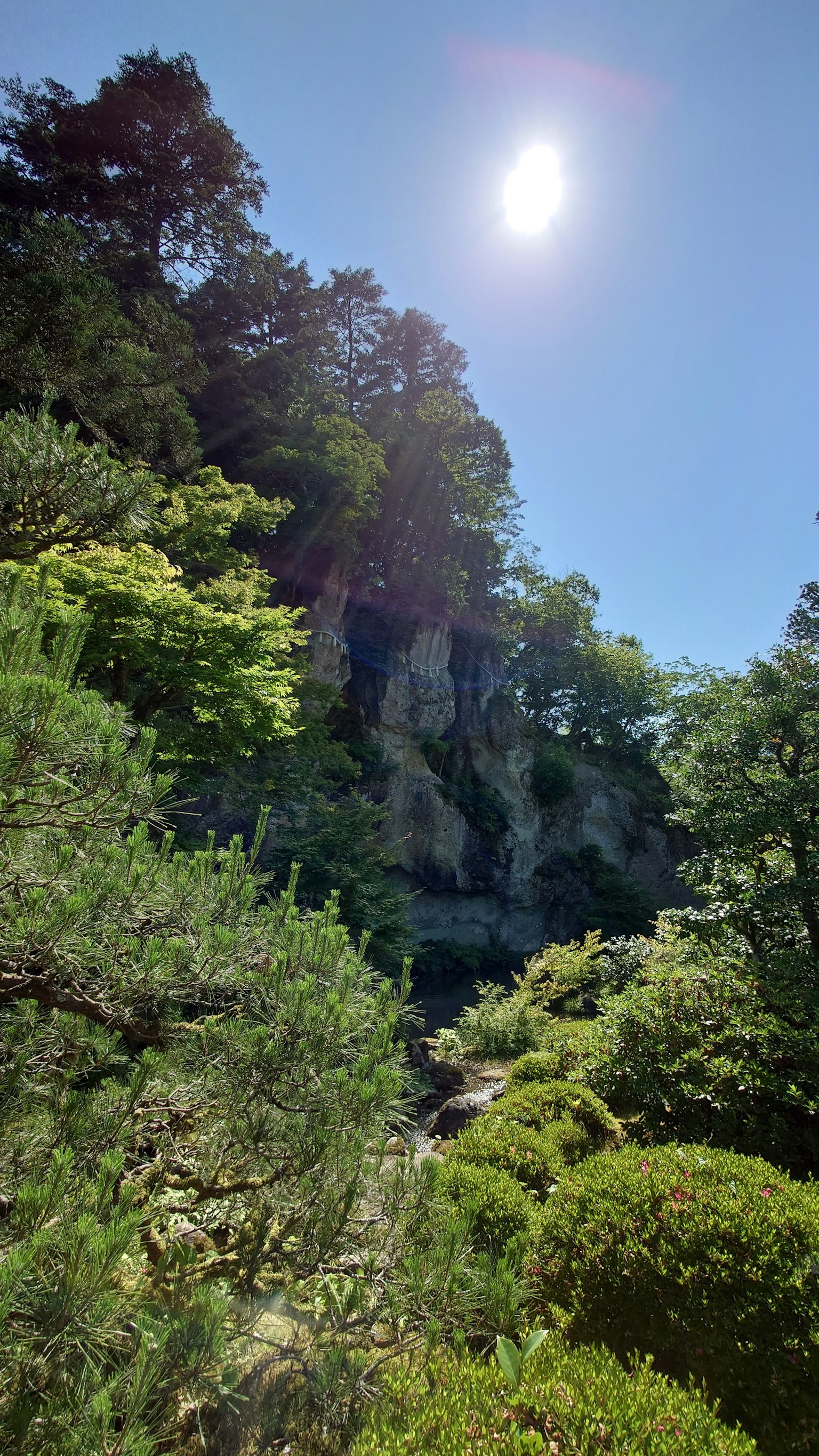 蓝天下郁郁葱葱的景观，阳光明媚和岩石悬崖