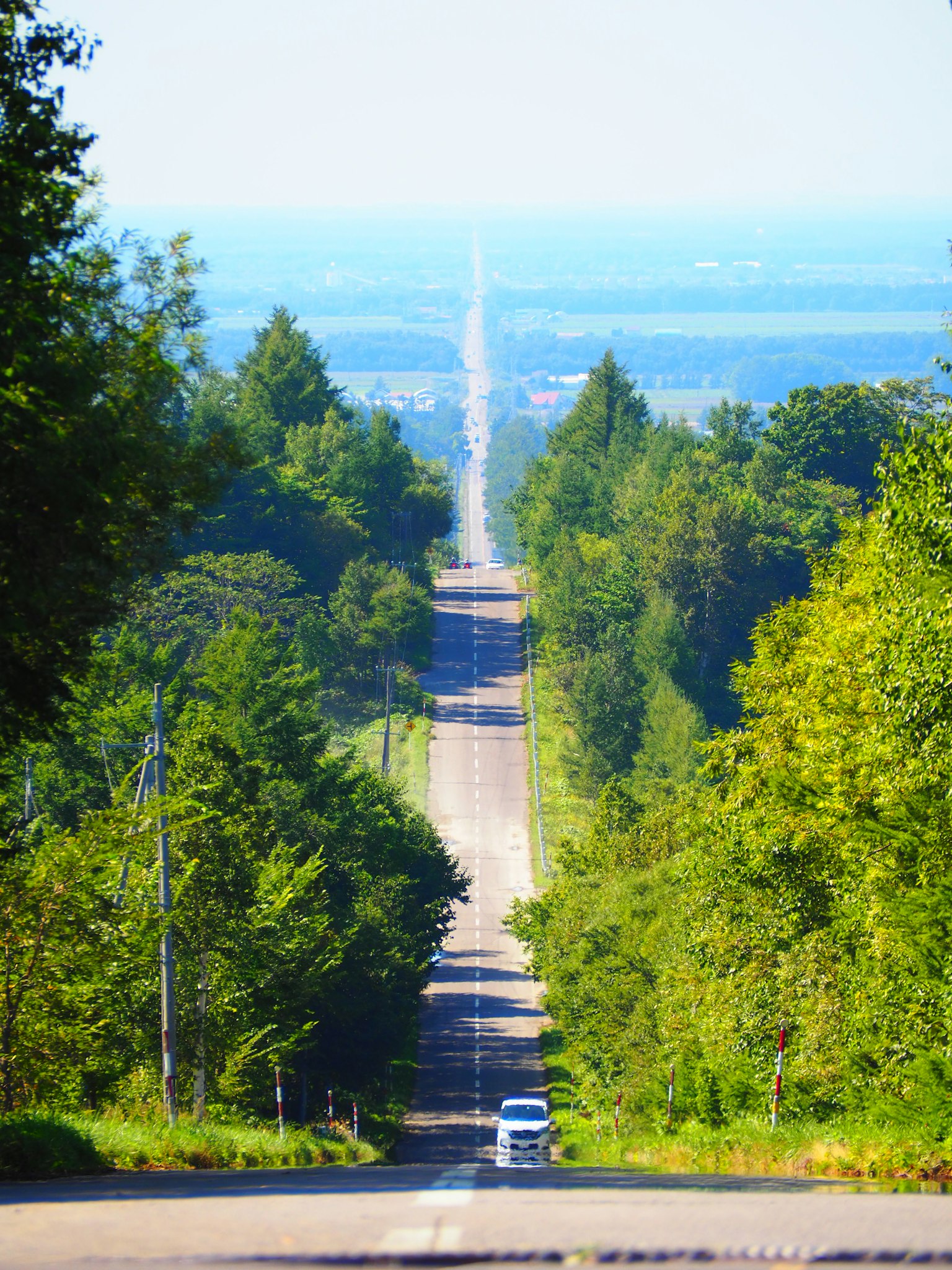 Longue route droite entourée de verdure avec ciel bleu au loin