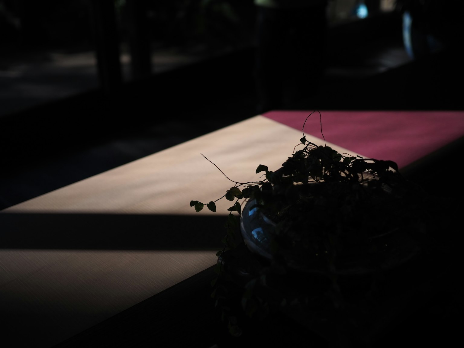 어두운 공간에 식물과 색이 있는 테이블이 있는 모습