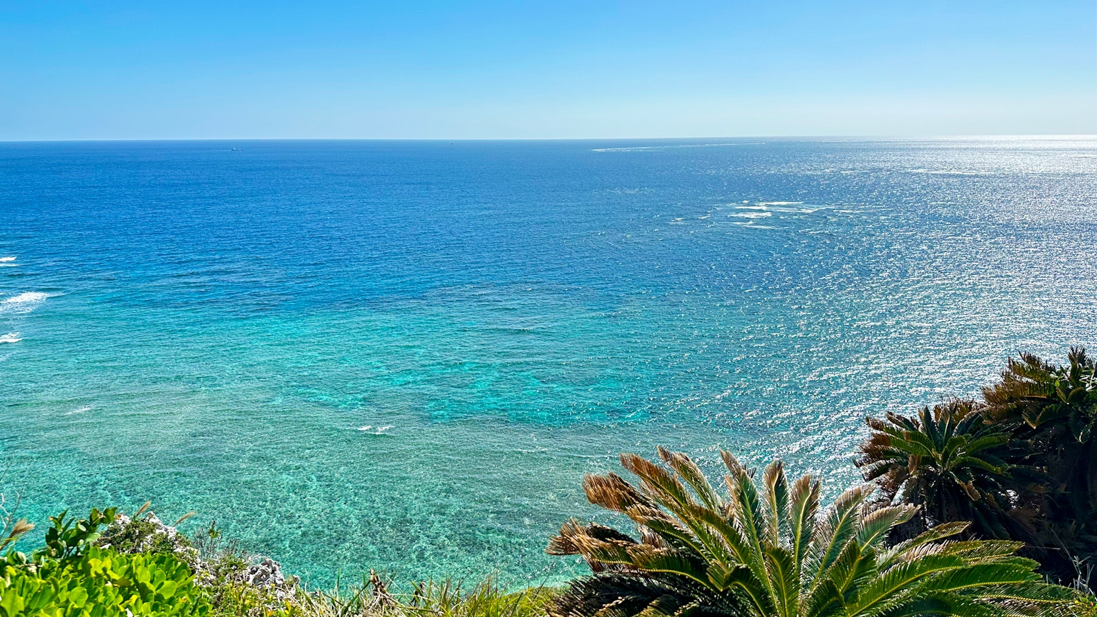 Panoramablick auf das blaue Meer und Palmen