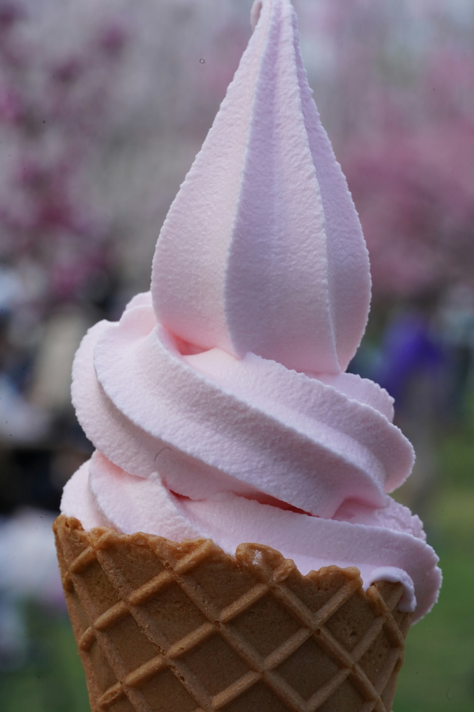 Gelato morbido rosa in cono di cialda