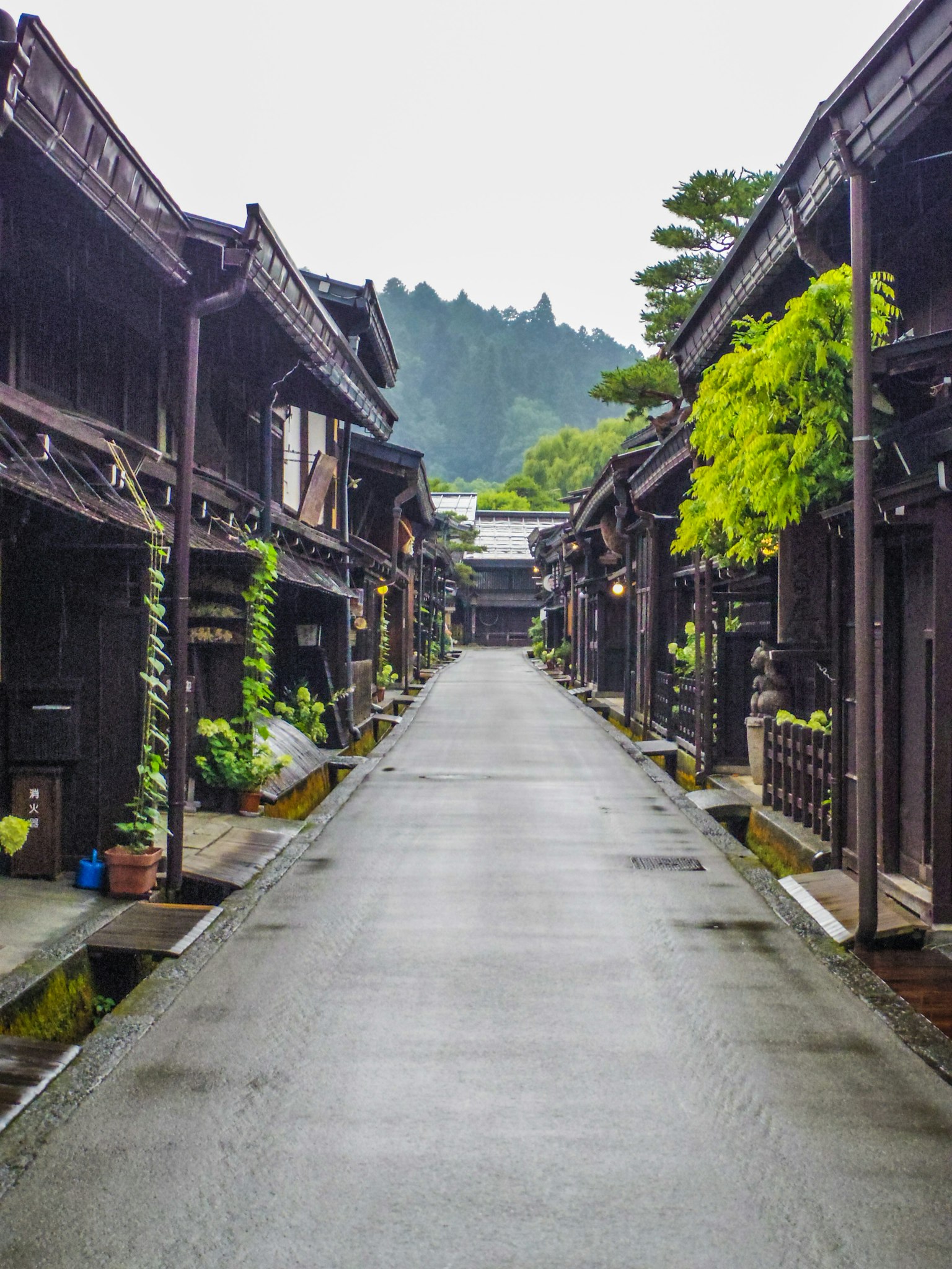 Con phố yên tĩnh với những ngôi nhà gỗ truyền thống sau cơn mưa