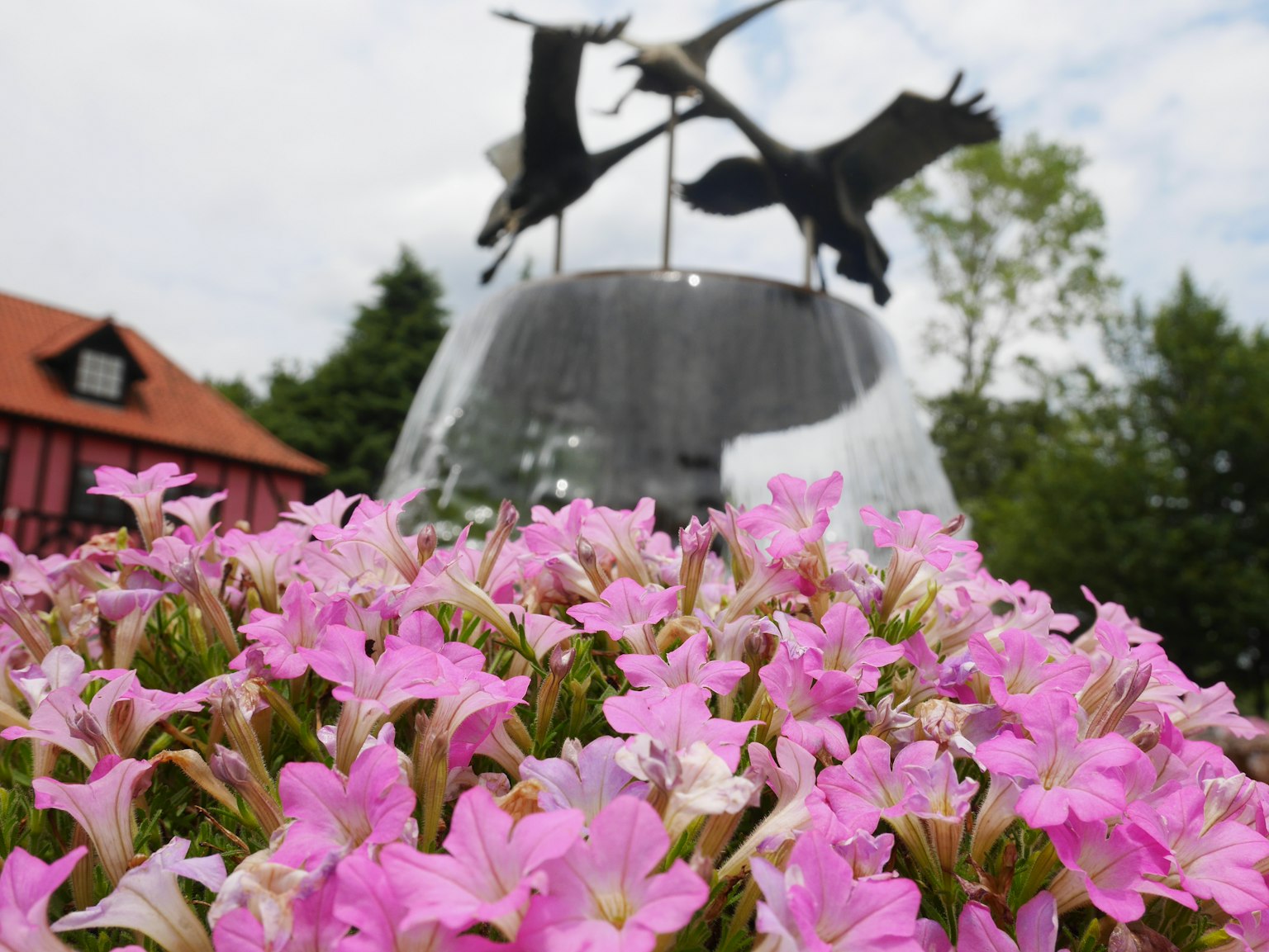 Un premier plan de fleurs roses avec une sculpture de fontaine représentant des oiseaux en vol en arrière-plan avec des bâtiments et des arbres