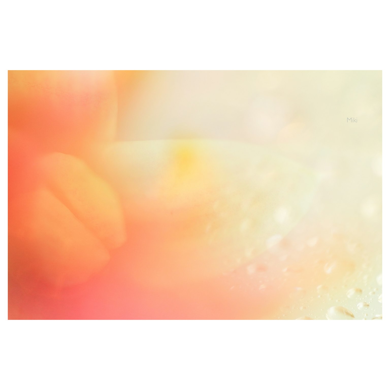 พื้นหลังนามธรรมที่เบลออย่างนุ่มนวลด้วยสีอบอุ่น