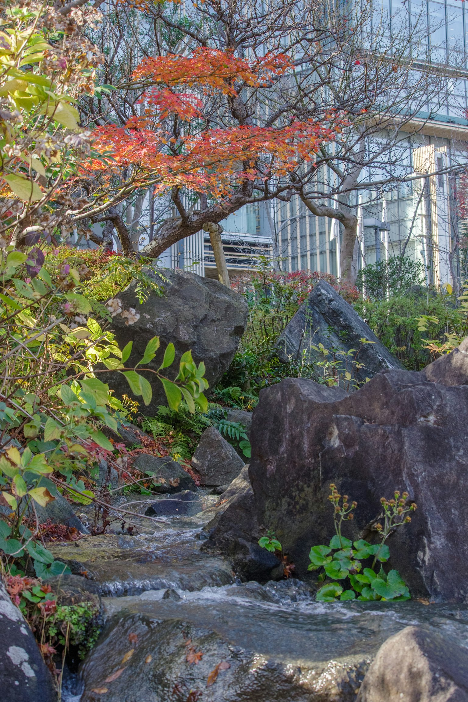 A serene garden with a flowing stream and autumn foliage