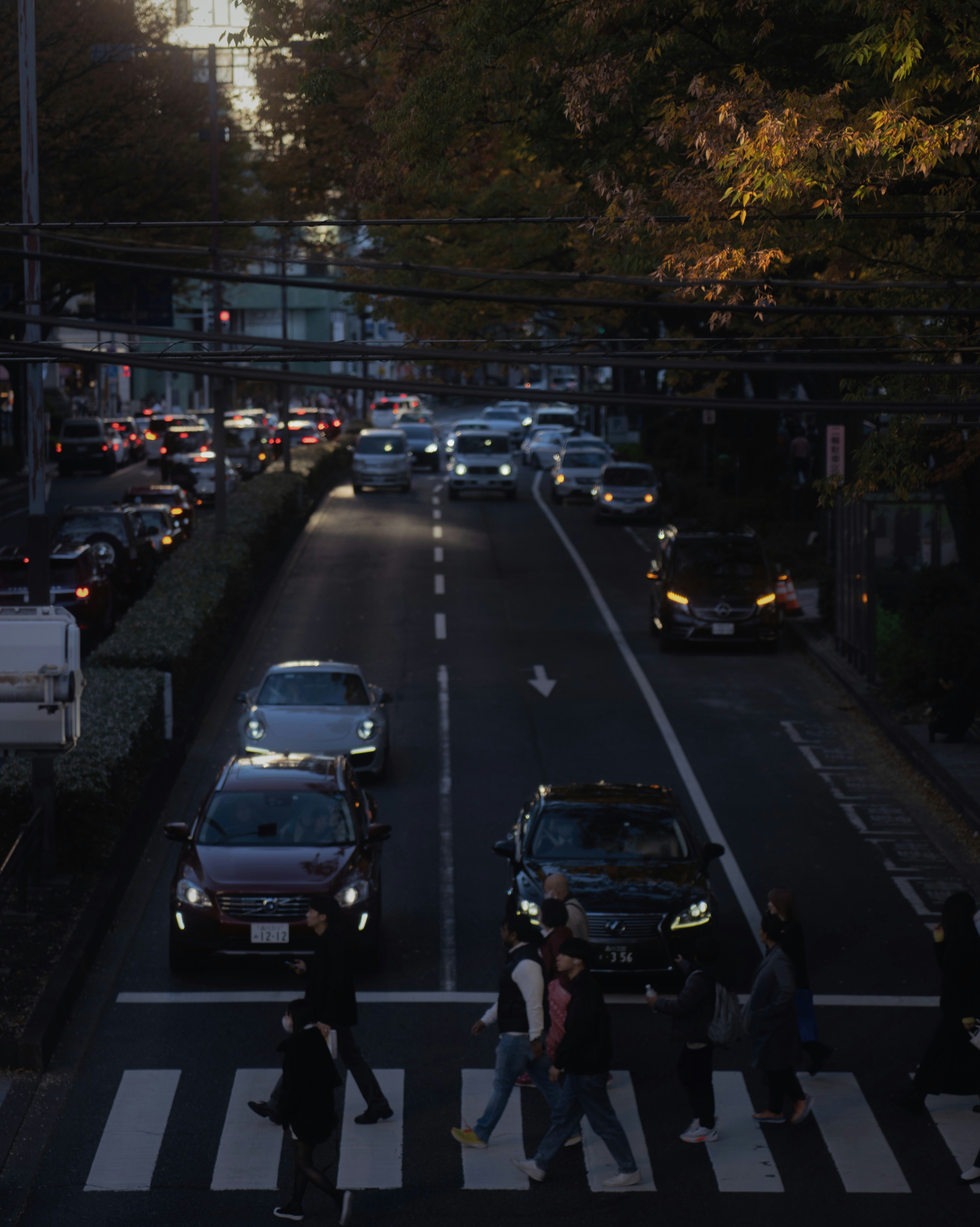 夕暮れの大通りを横断する歩行者と車の流れ
