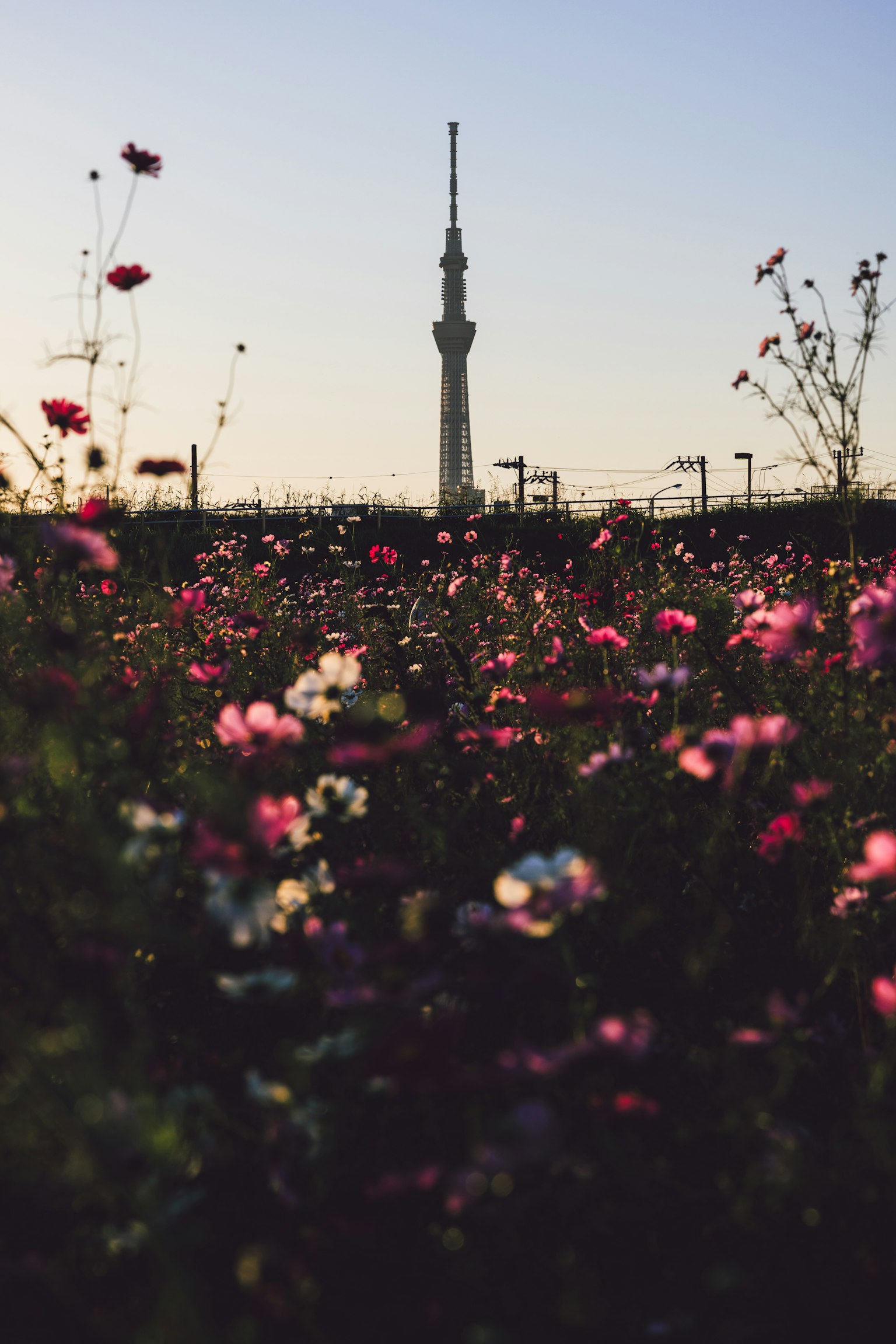 photo-dEa3CKuYk3zlSS8aZkKu-image