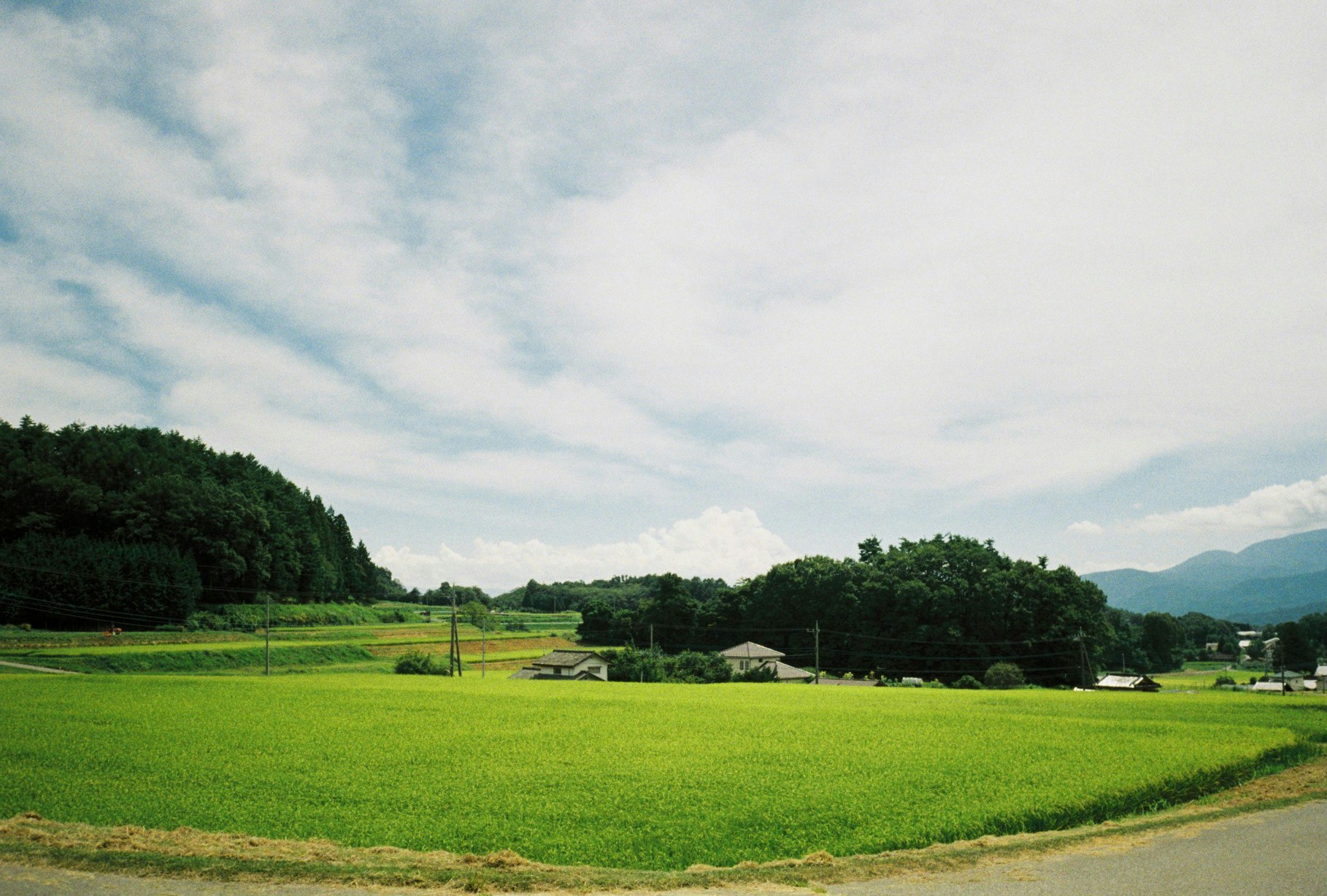緑の牧草地と小屋のあるのどかな田園風景