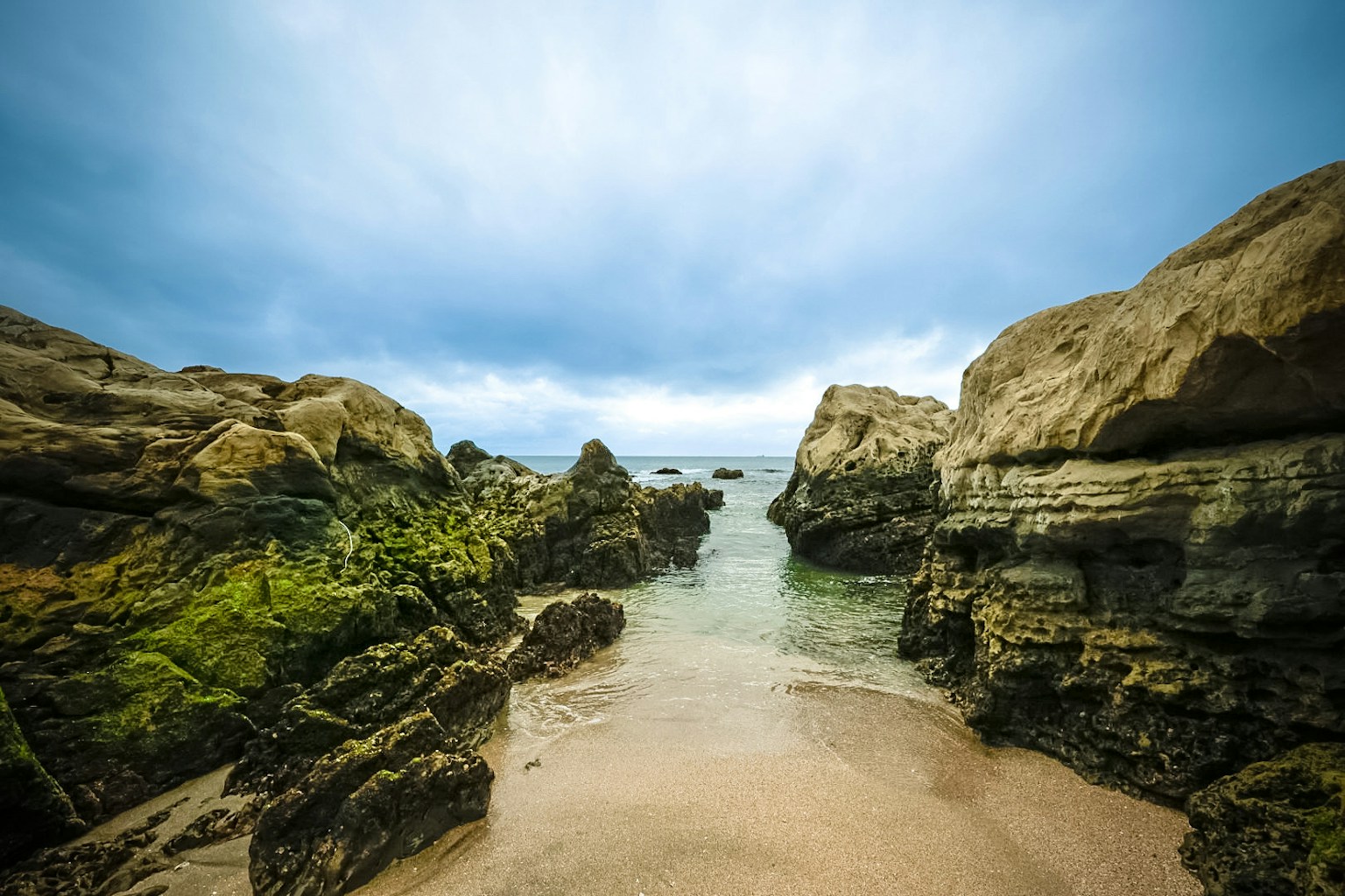 Scena di spiaggia tra rocce e oceano con muschio verde