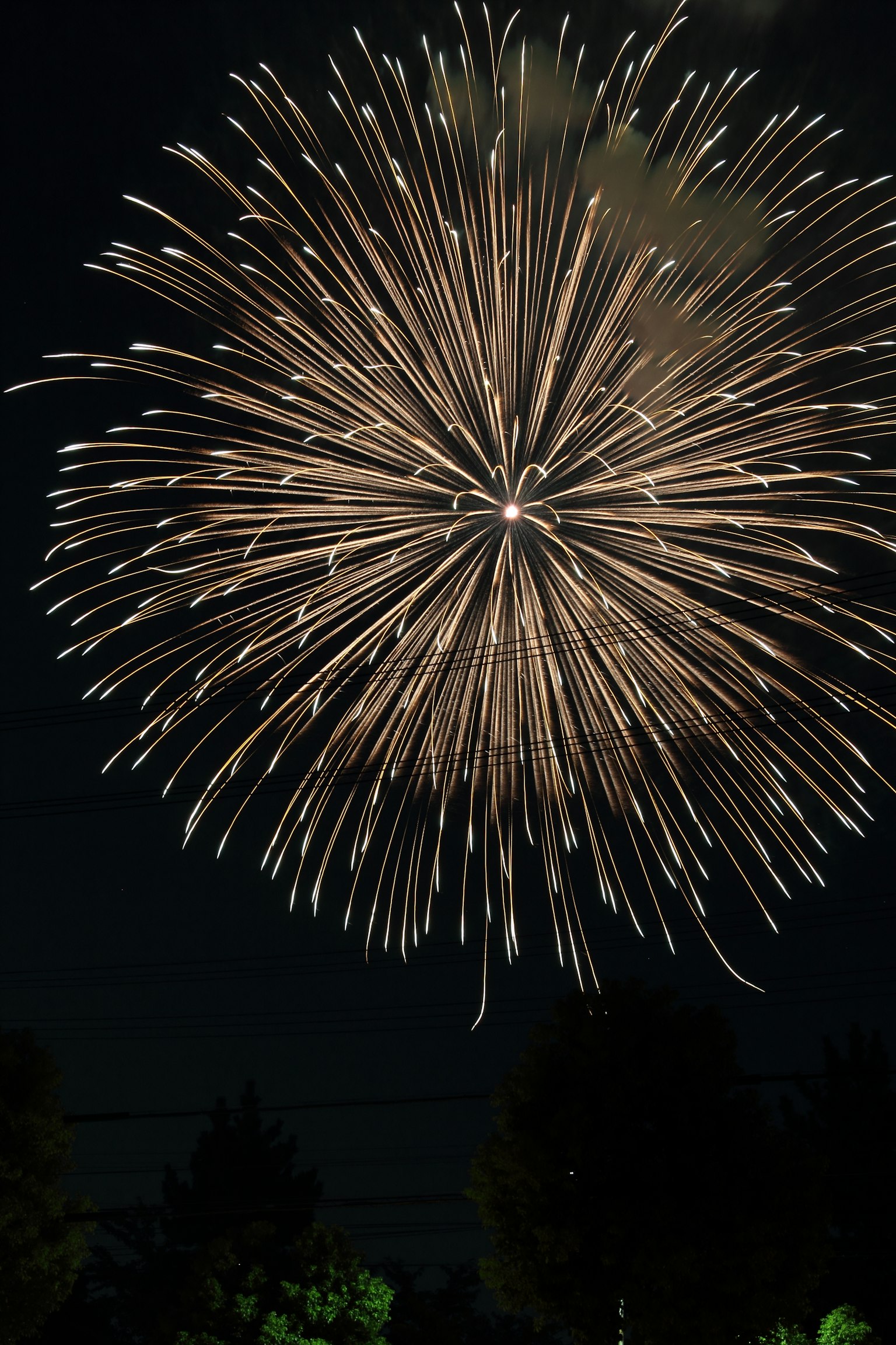 Gran explosión de fuegos artificiales dorados en el cielo nocturno