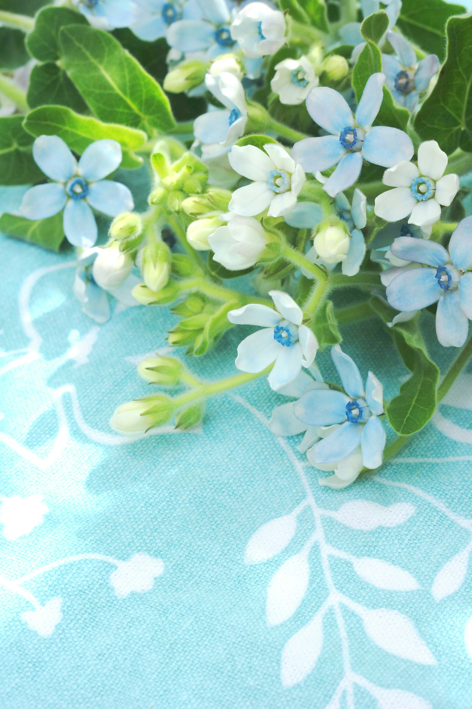 Bouquet indah bunga biru dan daun hijau