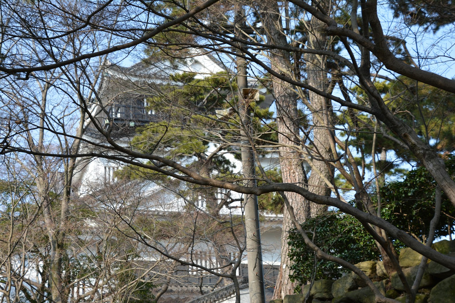 Weißes Schloss sichtbar durch Bäume mit blauem Himmel