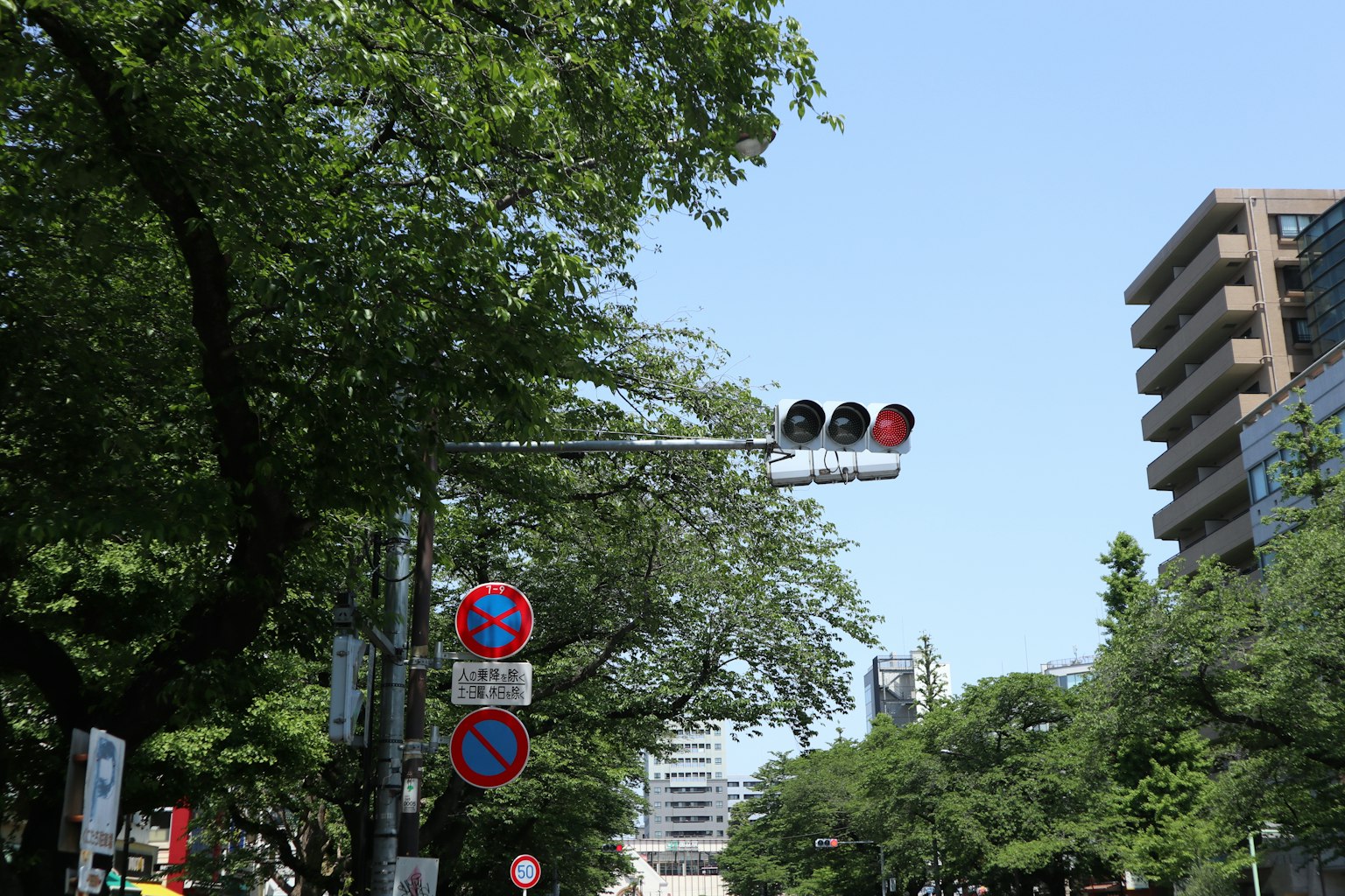 街道视图，交通信号灯有绿色和红色信号