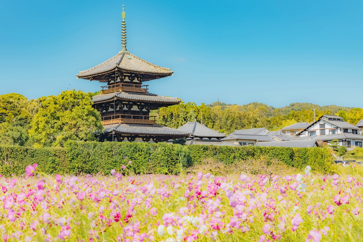 Traditionelle japanische Pagode umgeben von einem lebhaften Blumenfeld