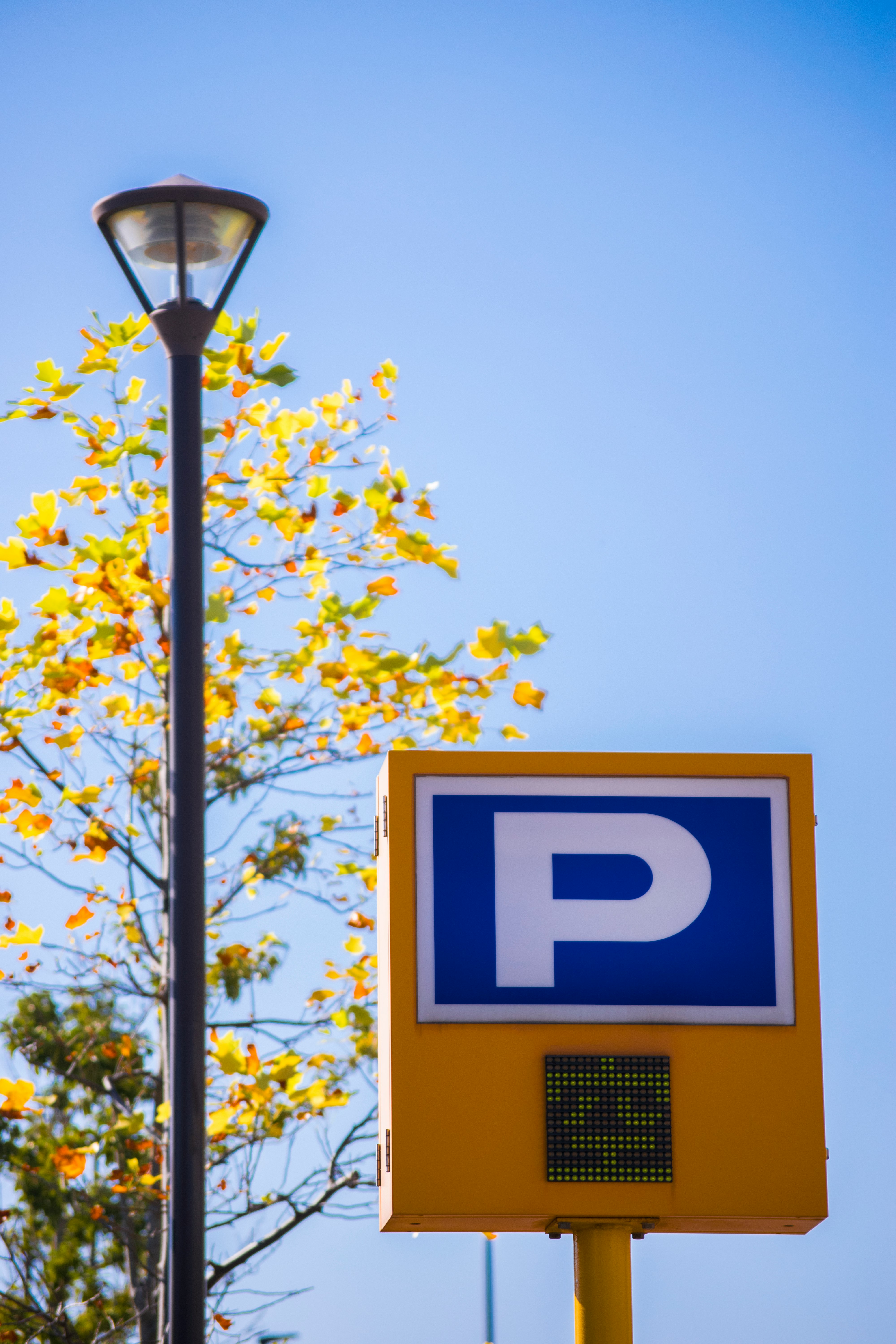 Farola y letrero azul « P » de estacionamiento bajo un cielo despejado