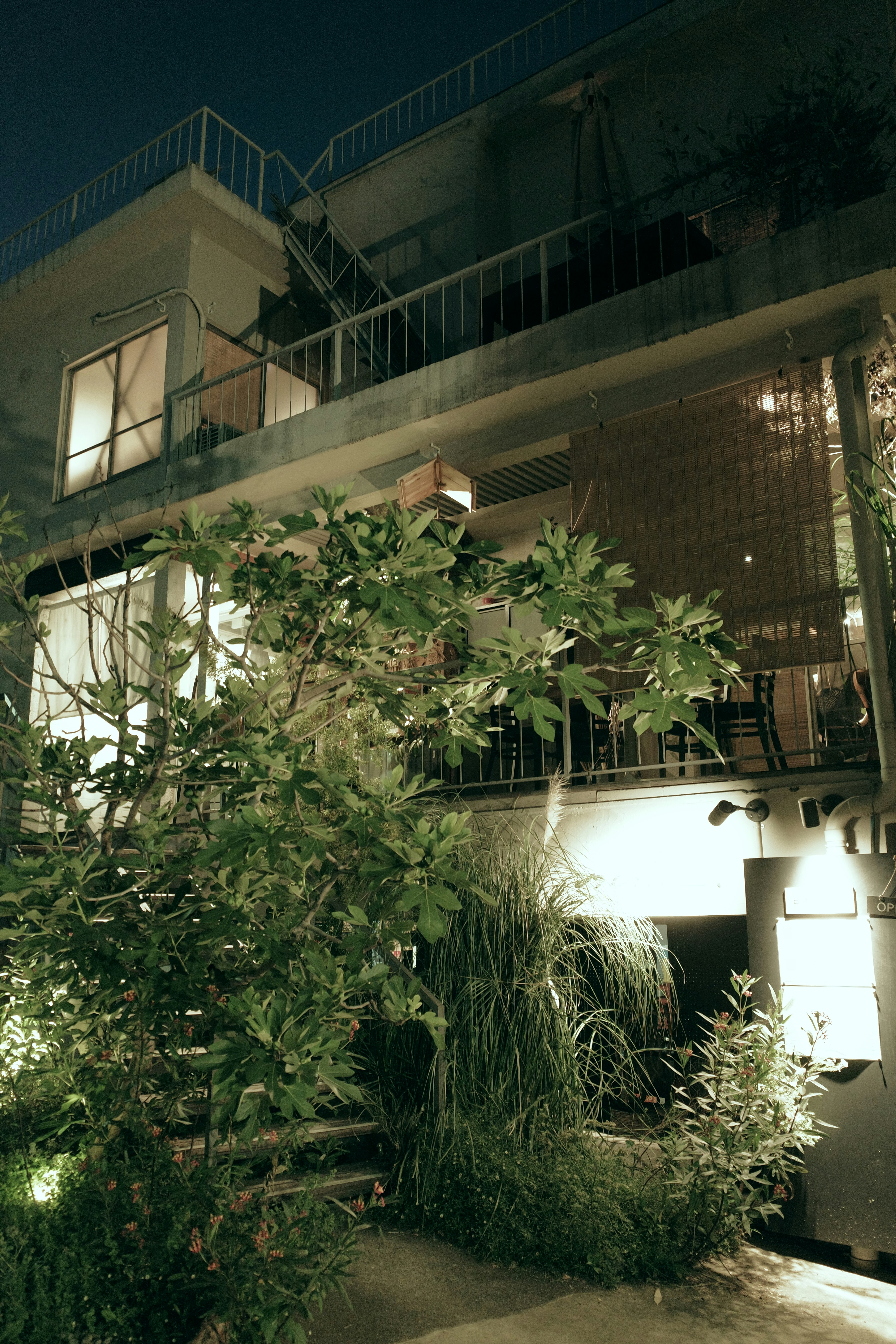 中庭の植栽に囲まれた夜の建物外観