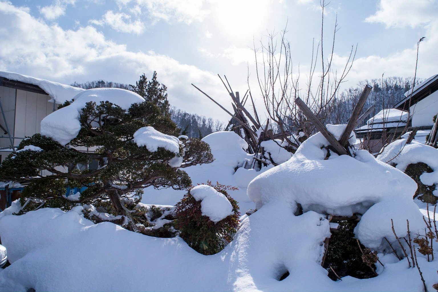 Winter landscape featuring snow-covered trees and a cabin