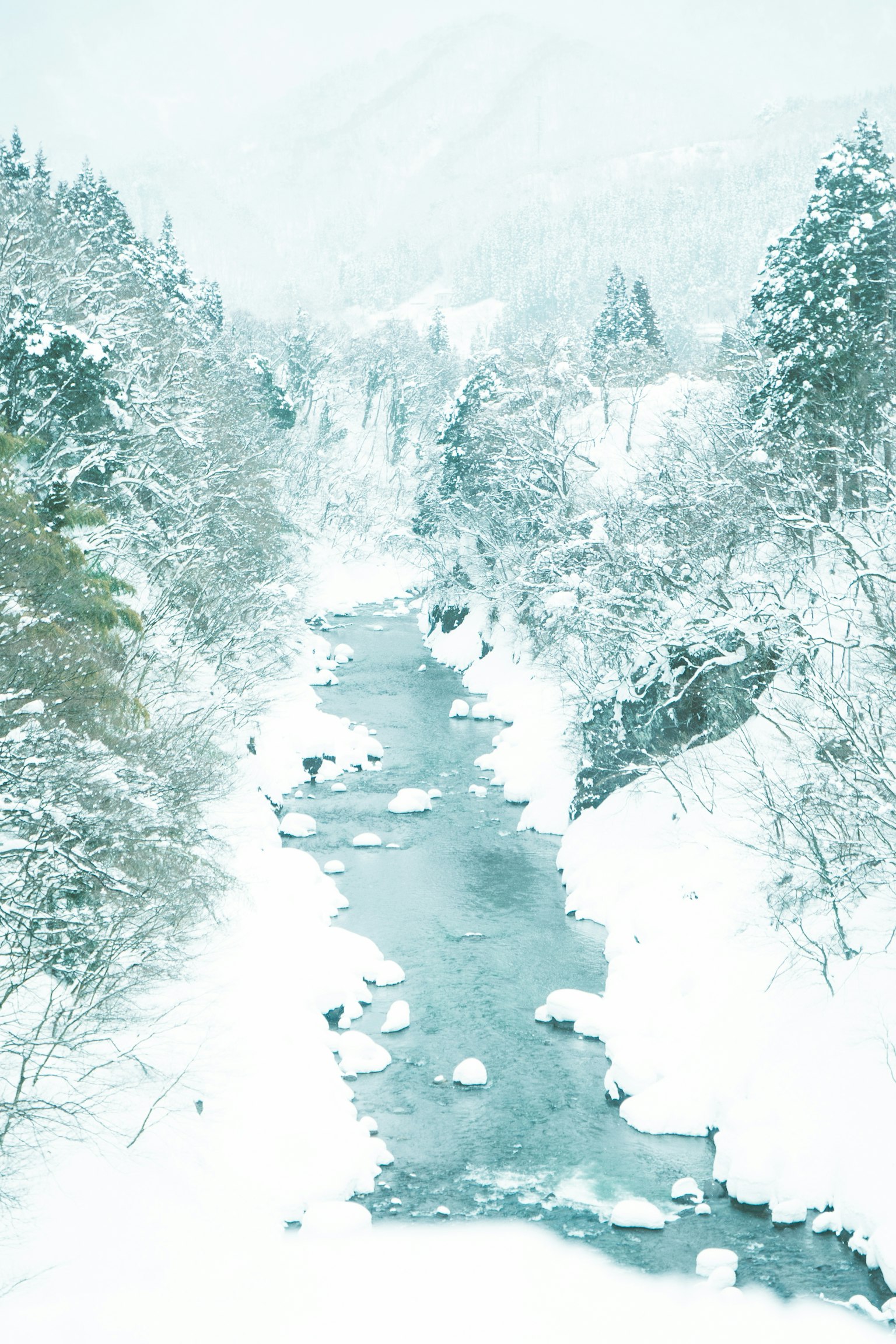 Snow-covered forest and river landscape