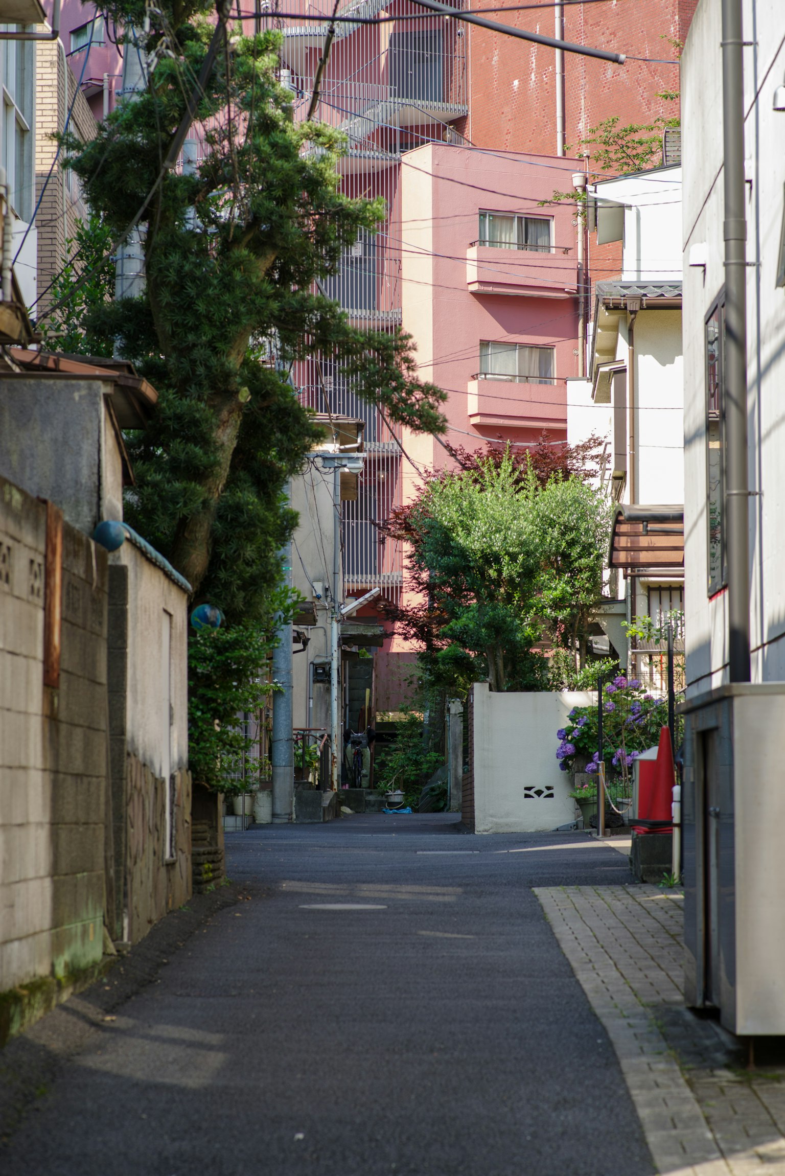 Ruhige Gasse mit üppigem Grün und Gebäuden