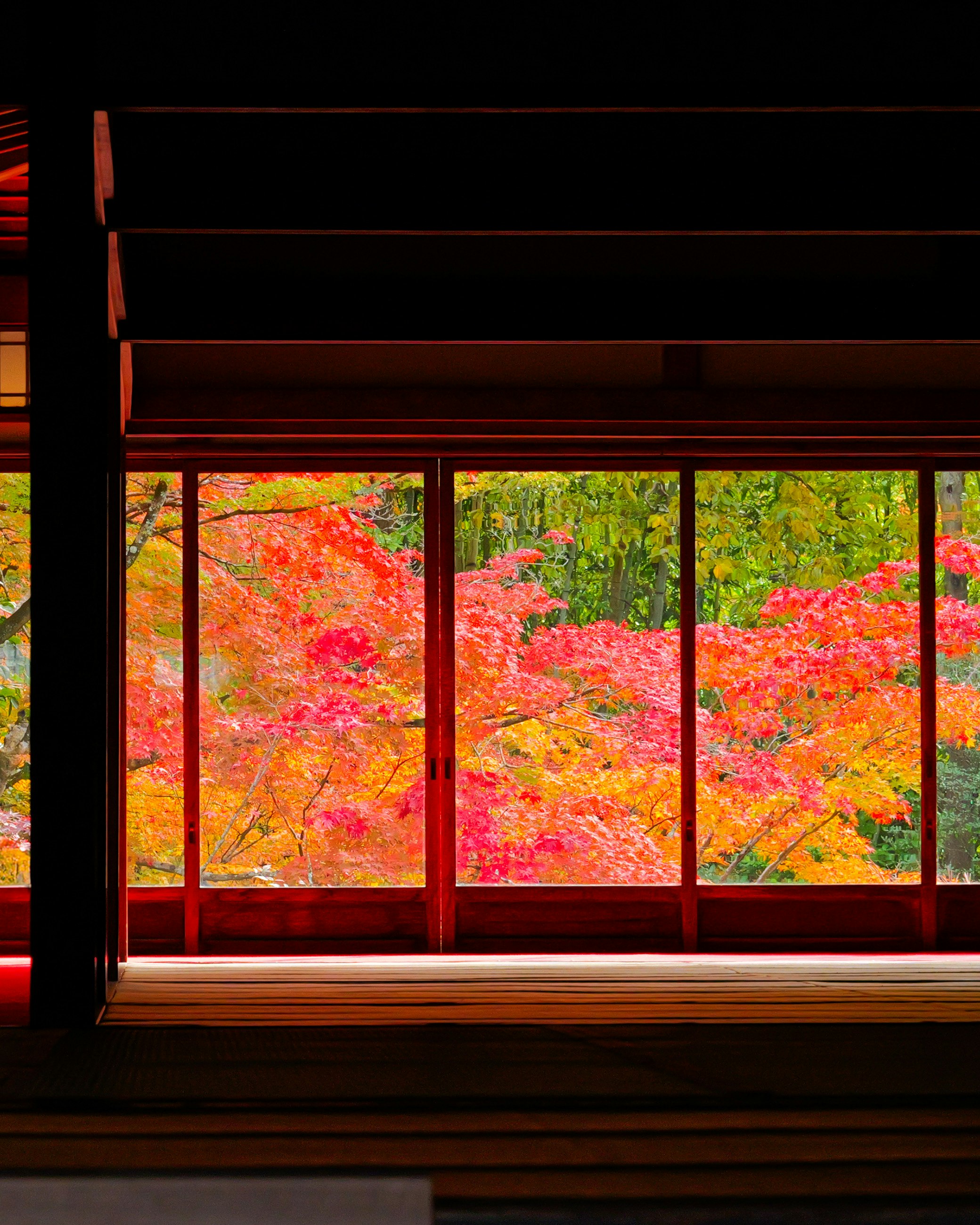 美しい紅葉が見える日本の伝統的な建物の窓