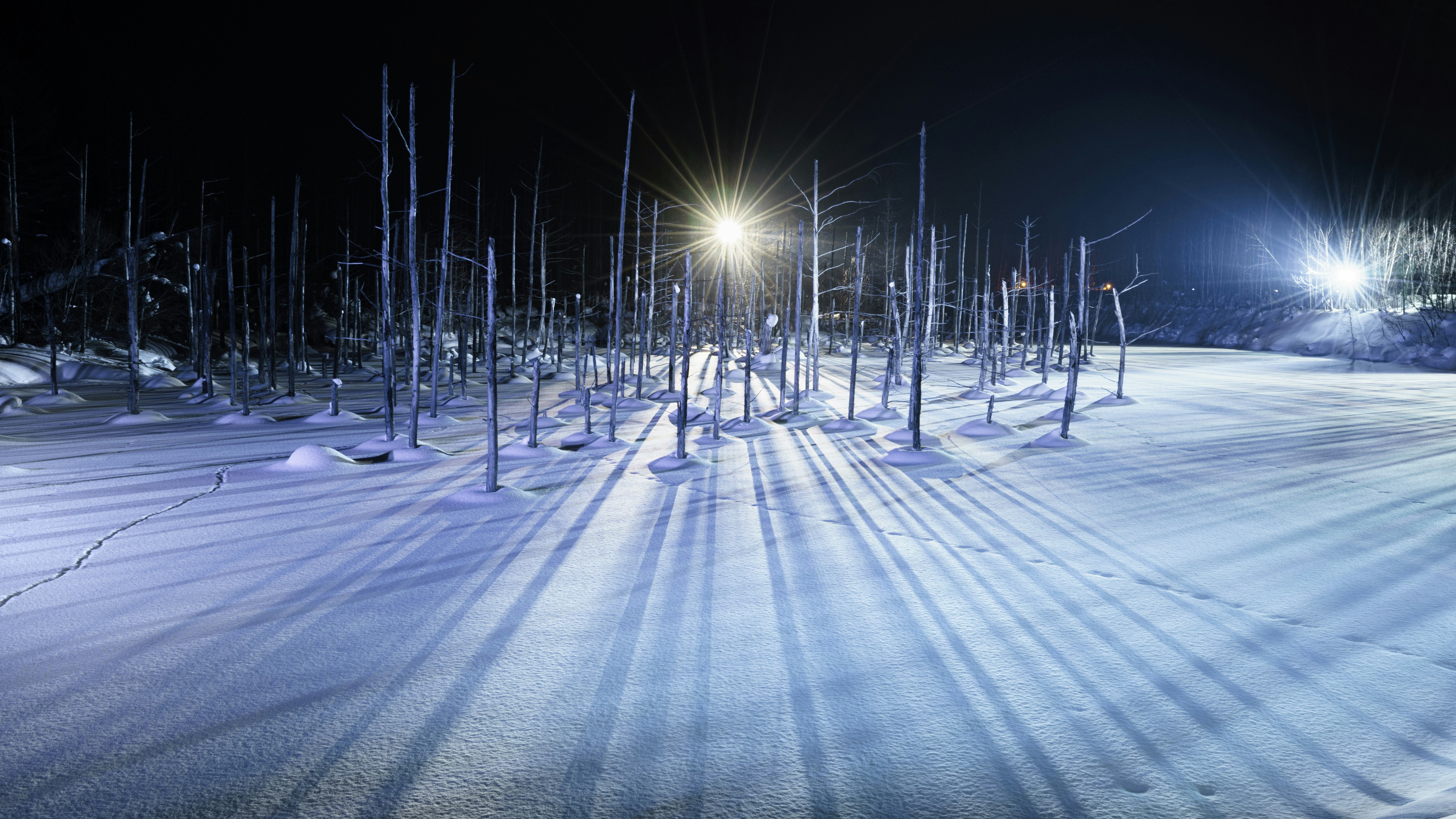 雪の積もる美瑛の青い池のライトアップ風景