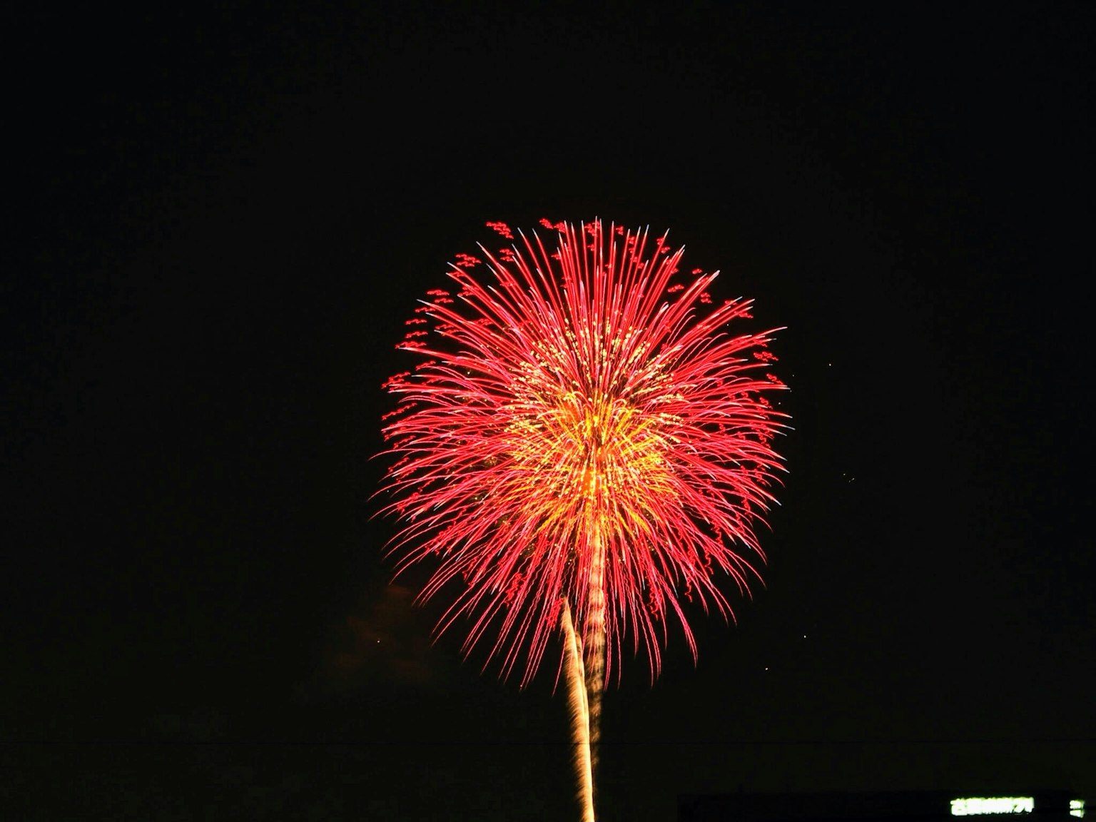 Fuego artificial rojo estallando en el cielo nocturno