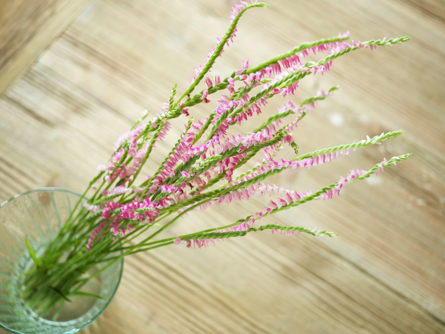 Un vaso di vetro con fiori rosa su un tavolo di legno