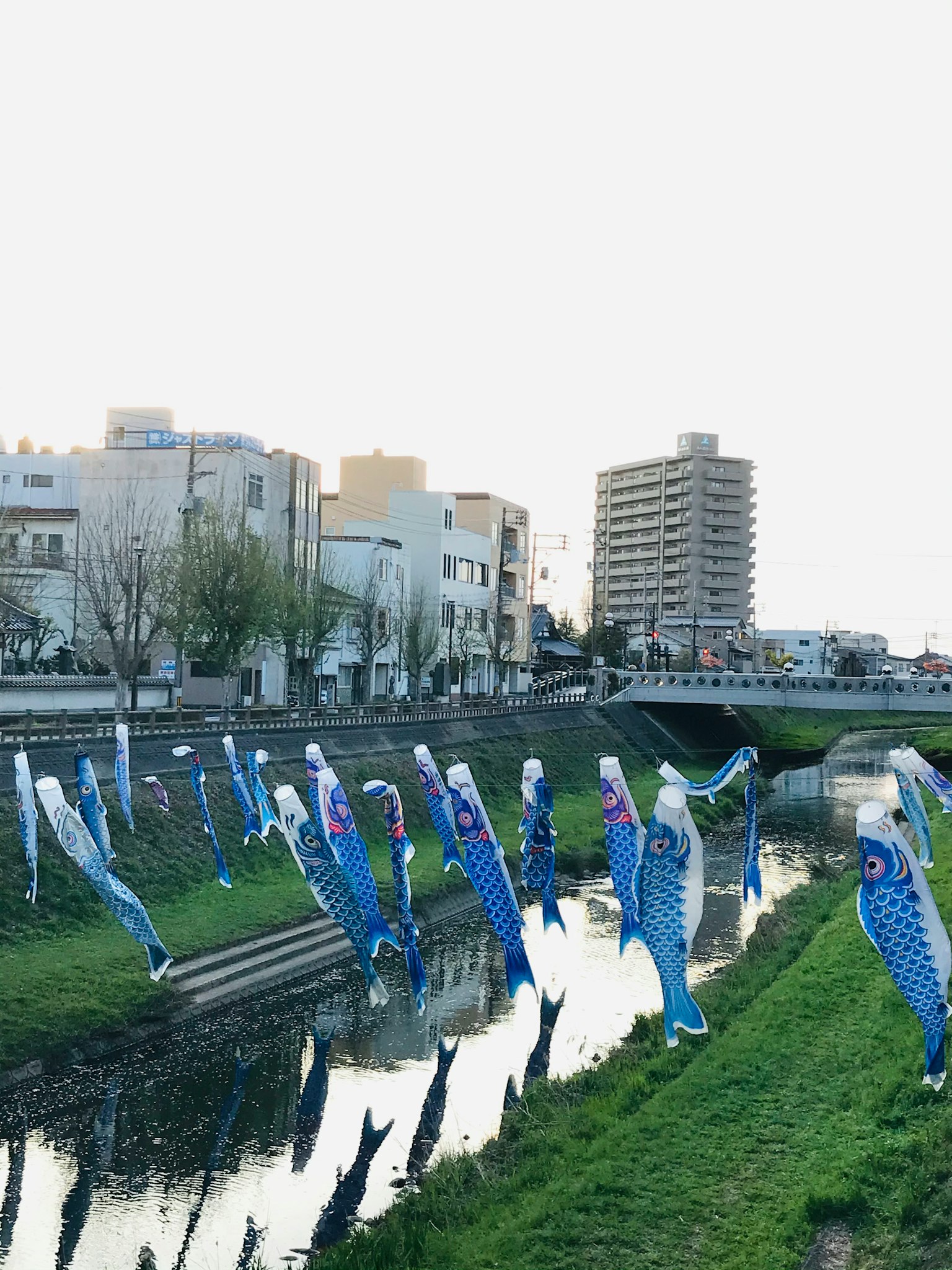 Koinobori yang dipajang di tepi sungai dengan latar belakang perkotaan