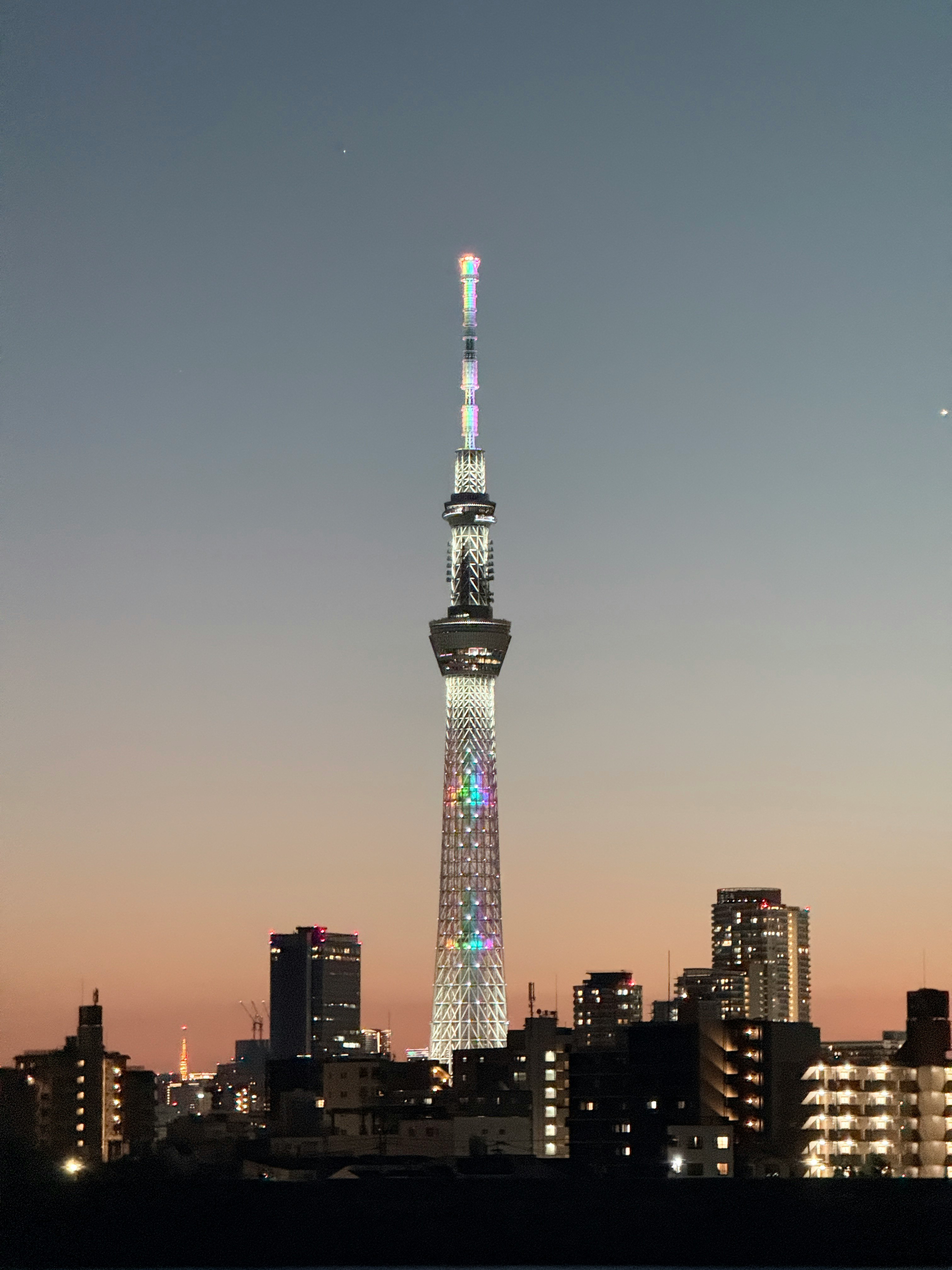 夕暮れの東京スカイツリーと街並み