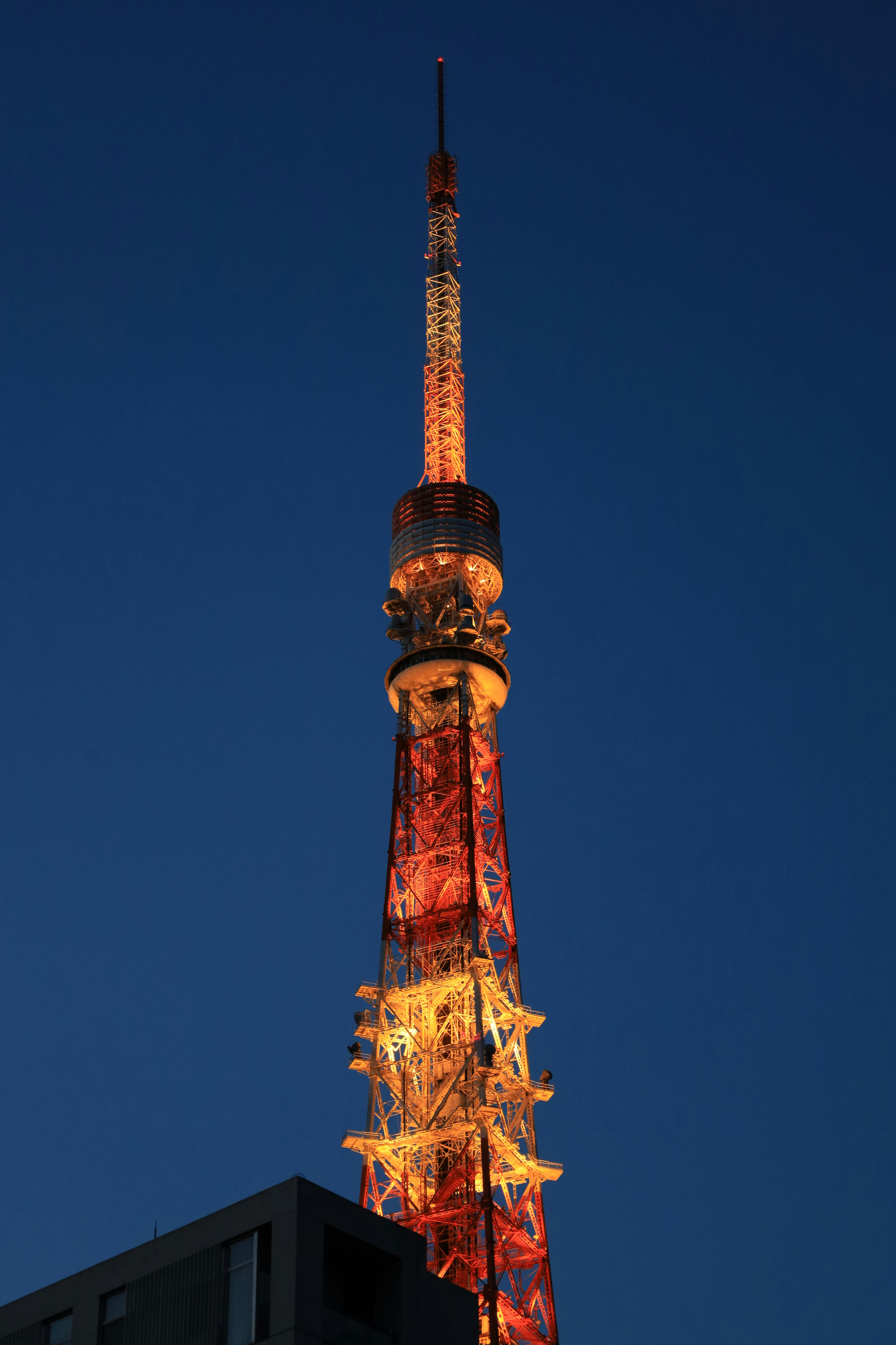青空にそびえる東京タワーの赤と青のライトアップ