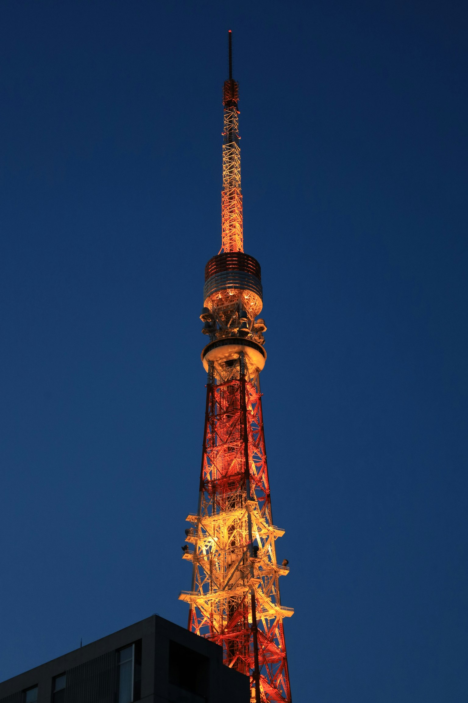 어두운 하늘을 배경으로 밤에 조명이 켜진 도쿄 타워