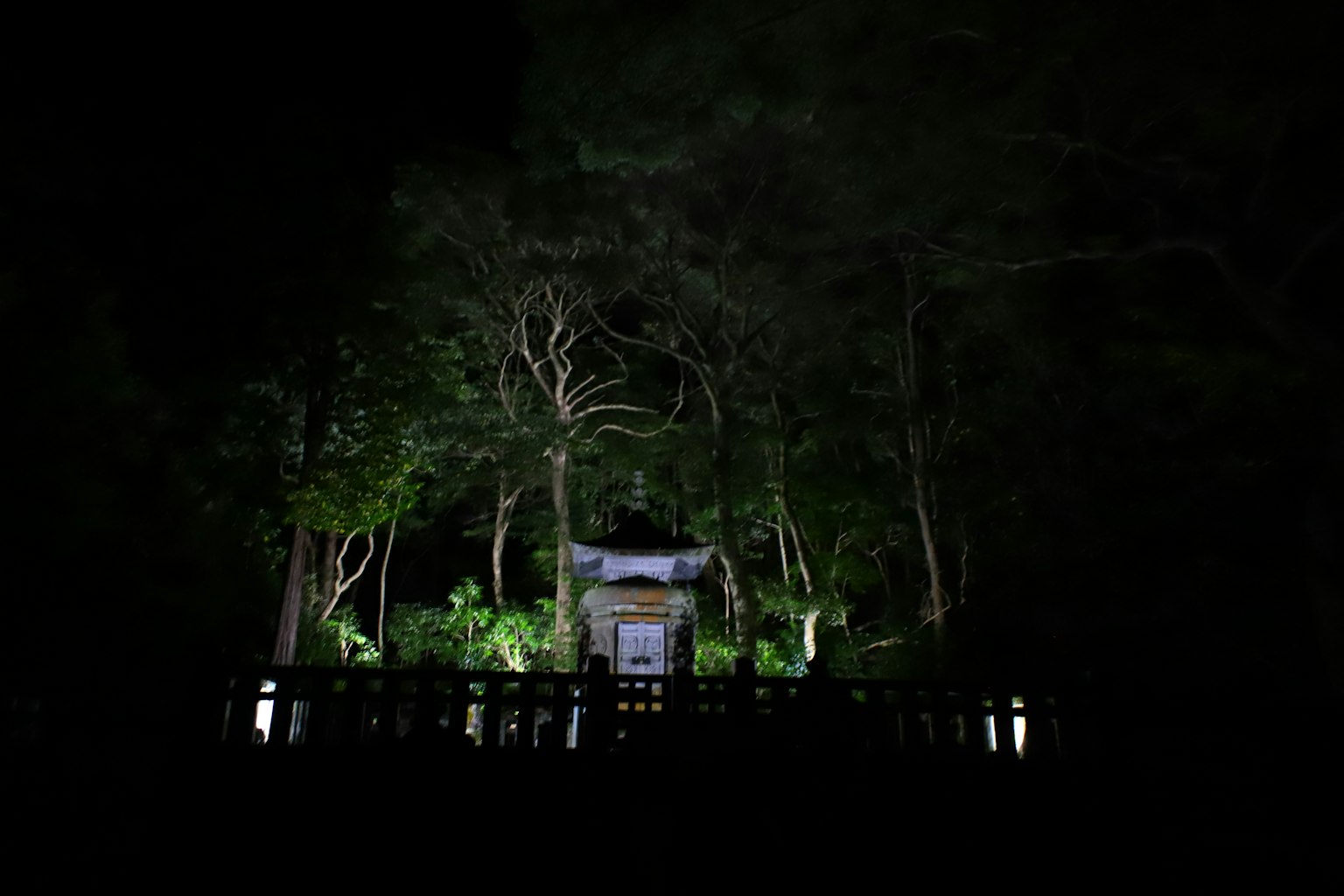 Un cancello di santuario illuminato in una foresta buia con vegetazione circostante
