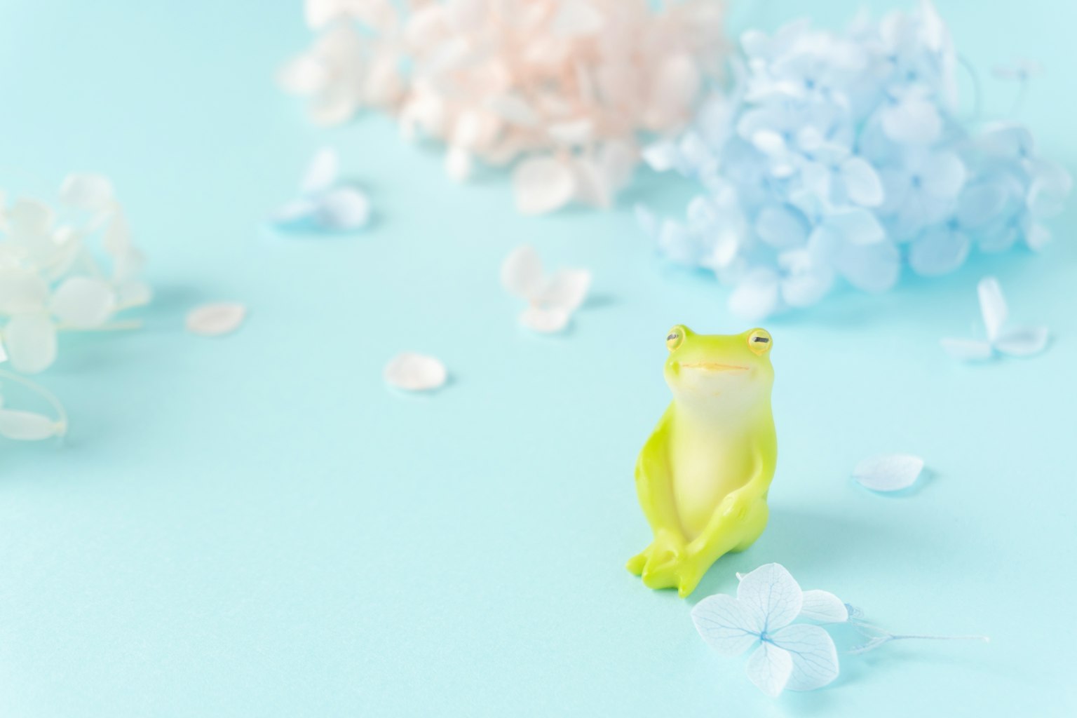 Seekor katak hijau duduk di atas latar belakang biru muda dikelilingi oleh hiasan halus berbentuk kelopak berwarna pink dan biru